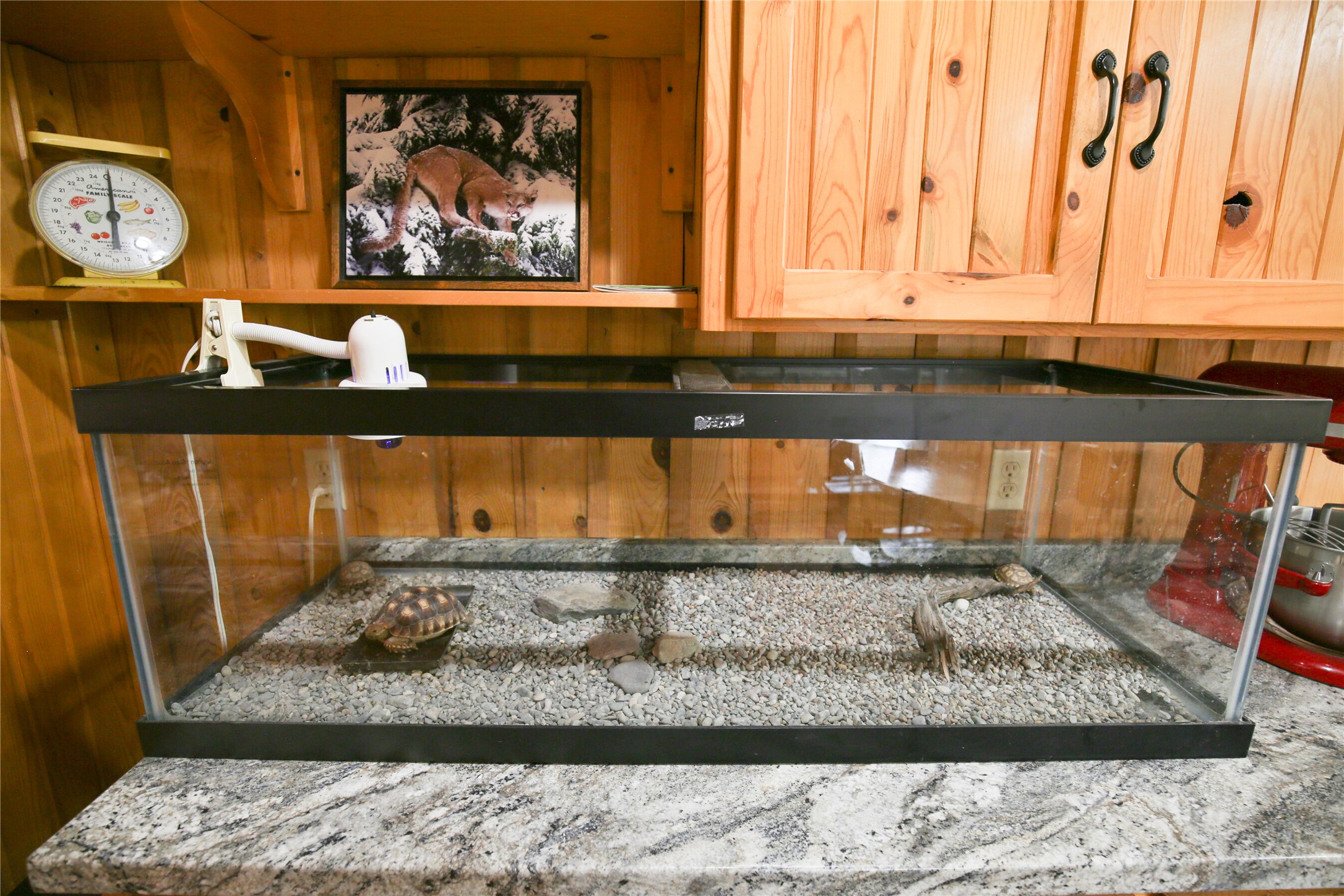 32 Whitepine Creek Road Property Photo 12