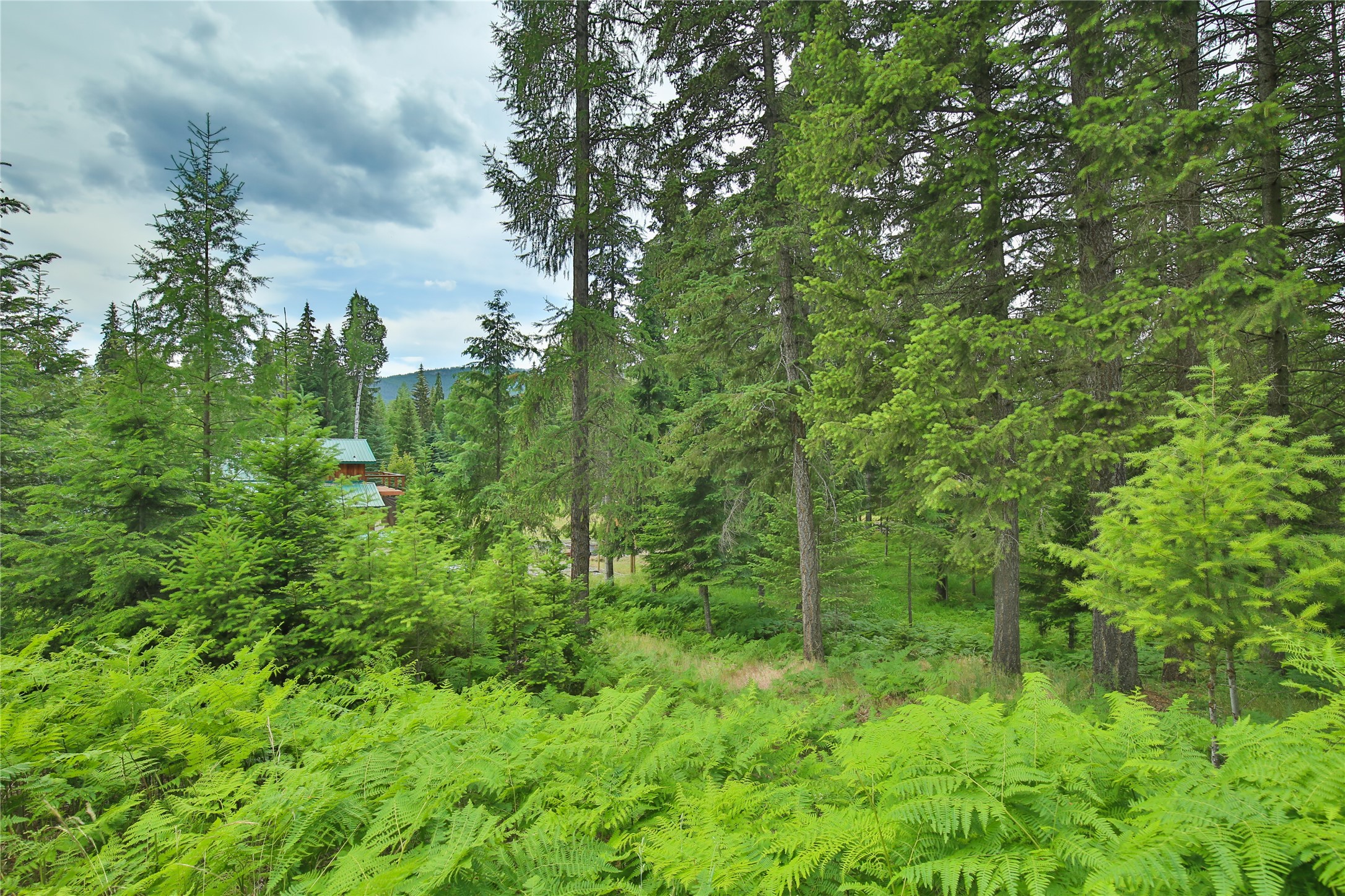 32 Whitepine Creek Road Property Photo 40