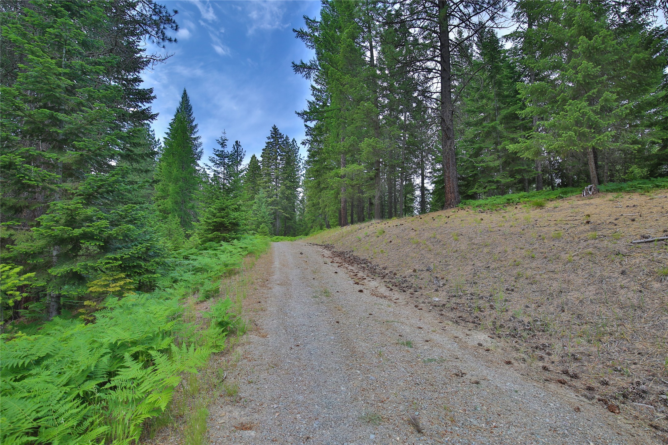 32 Whitepine Creek Road Property Photo 41