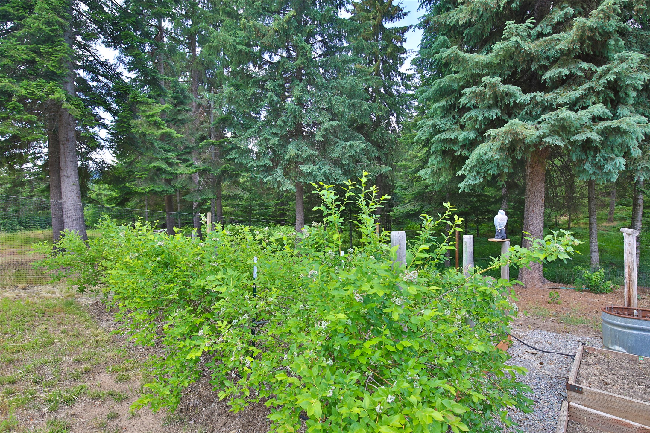 32 Whitepine Creek Road Property Photo 45