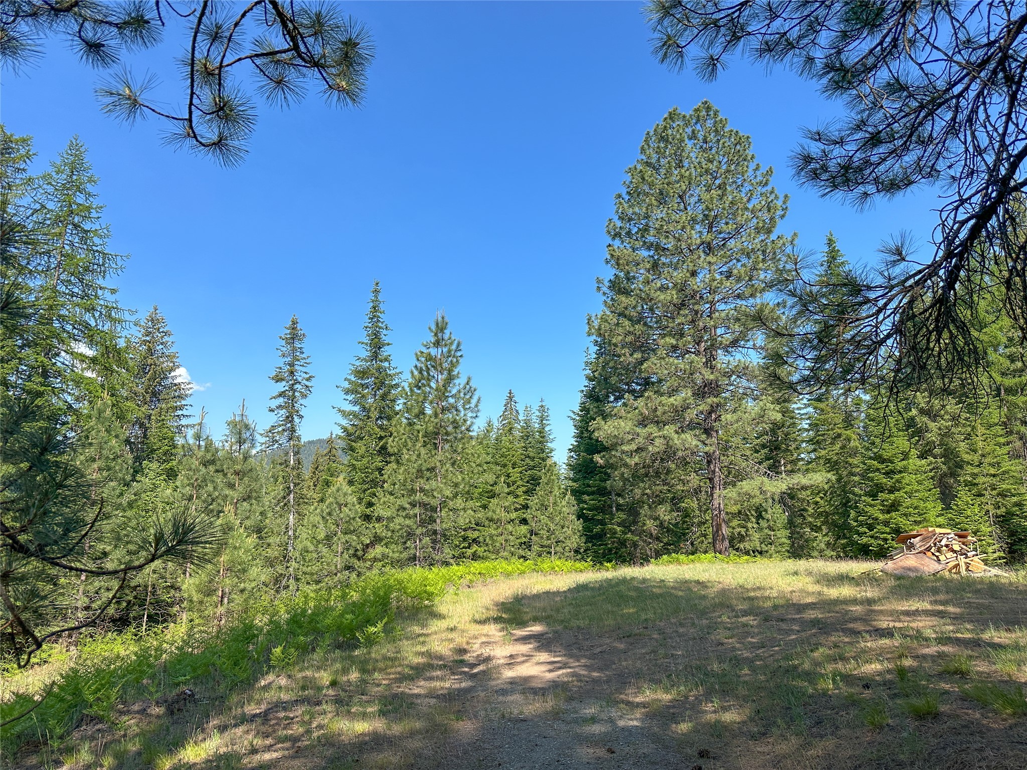 32 Whitepine Creek Road Property Photo 65
