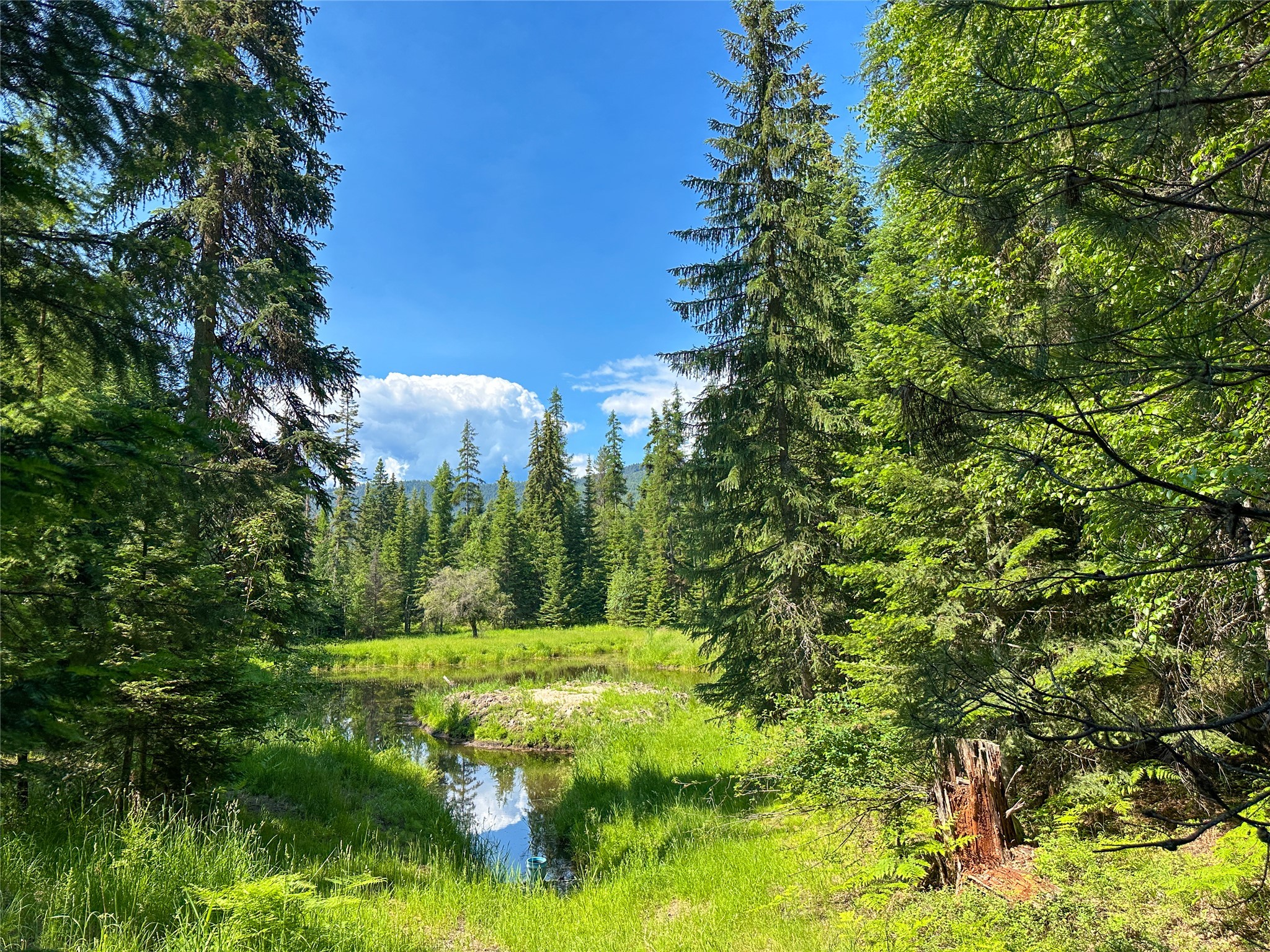 32 Whitepine Creek Road Property Photo 67