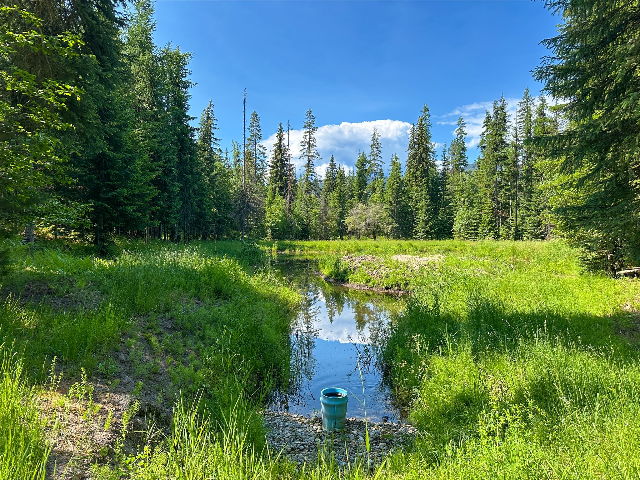 32 Whitepine Creek Road Property Photo 68