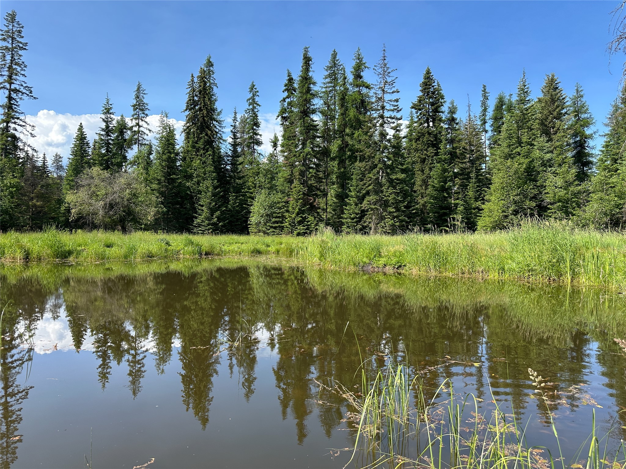 32 Whitepine Creek Road Property Photo 70