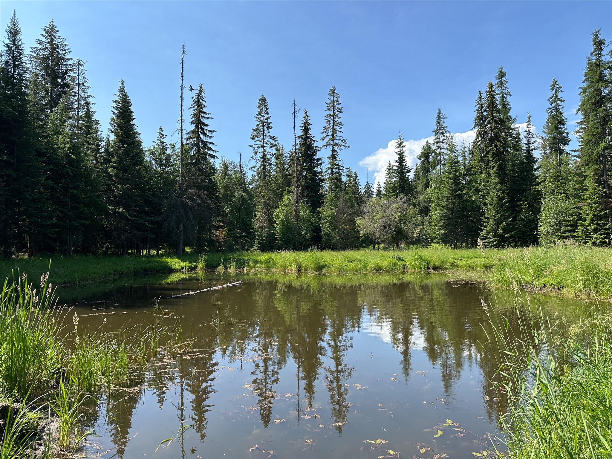 32 Whitepine Creek Road Property Photo 72