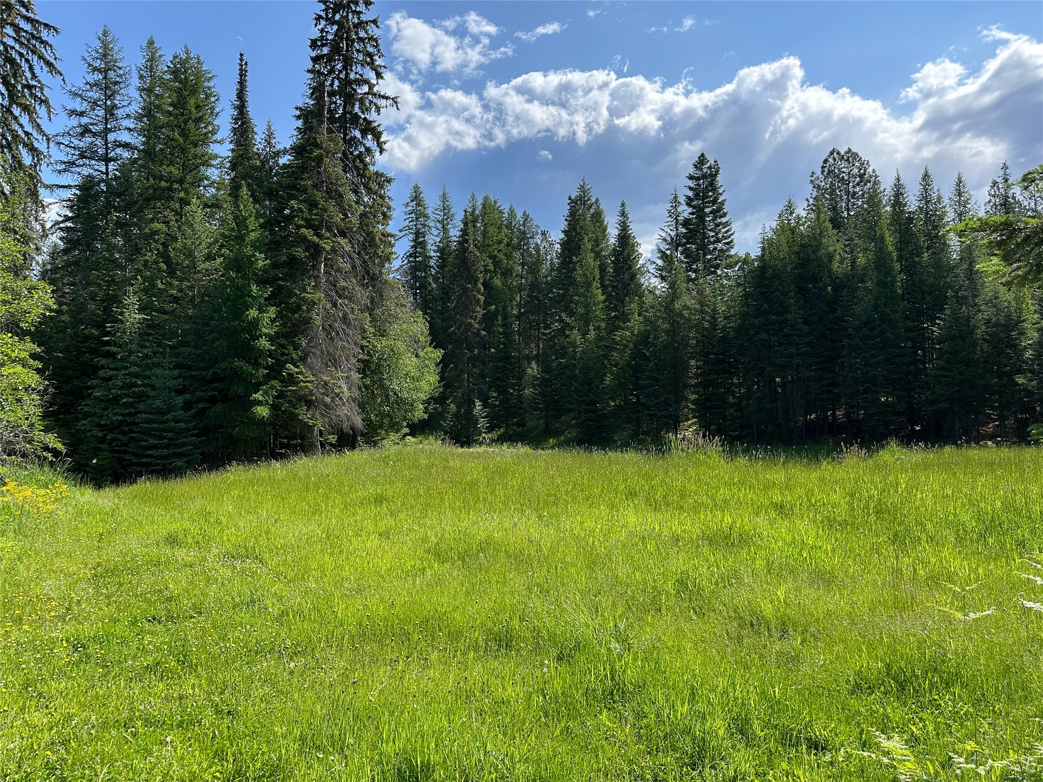 32 Whitepine Creek Road Property Photo 73