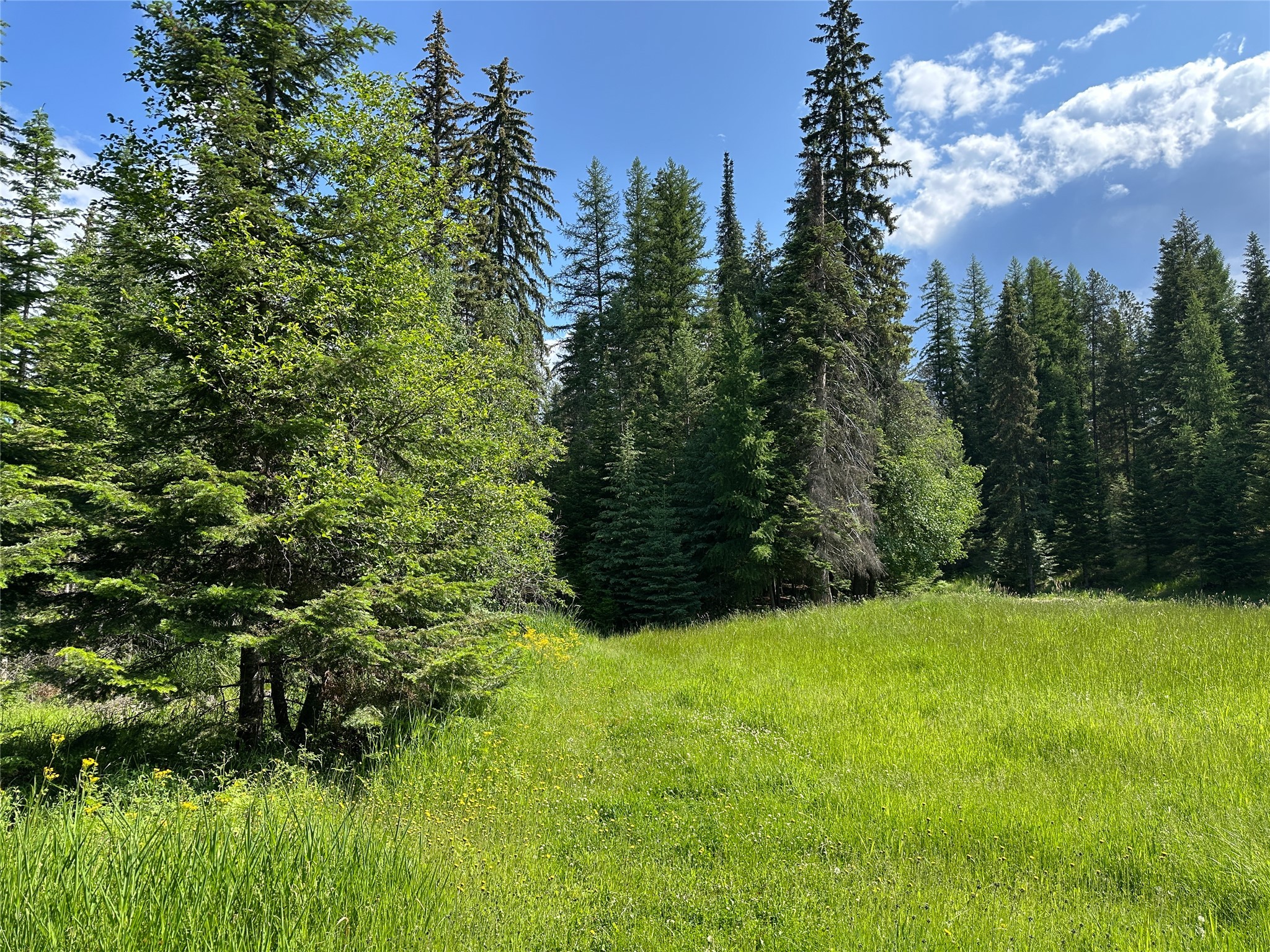 32 Whitepine Creek Road Property Photo 74