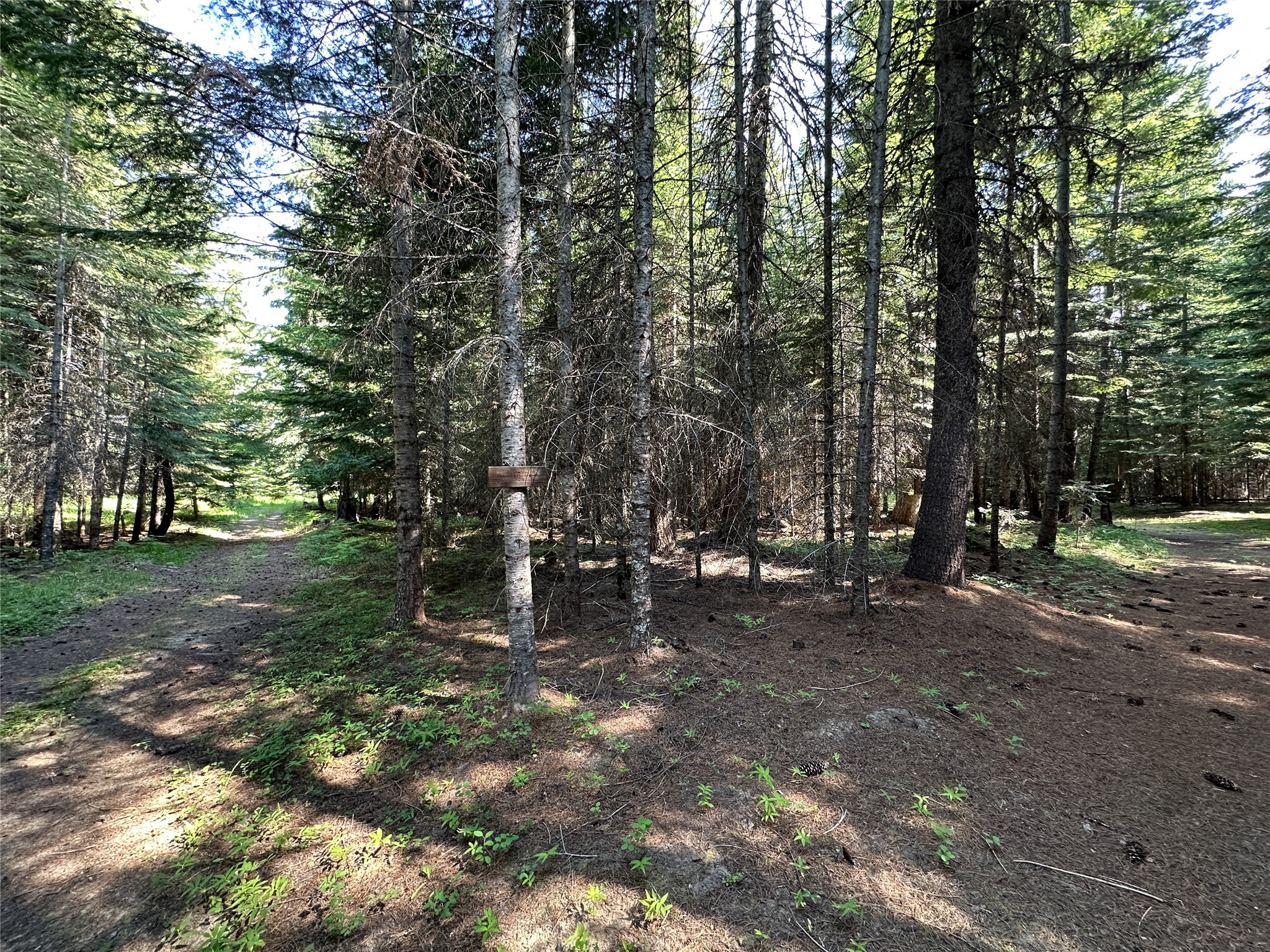 32 Whitepine Creek Road Property Photo 76