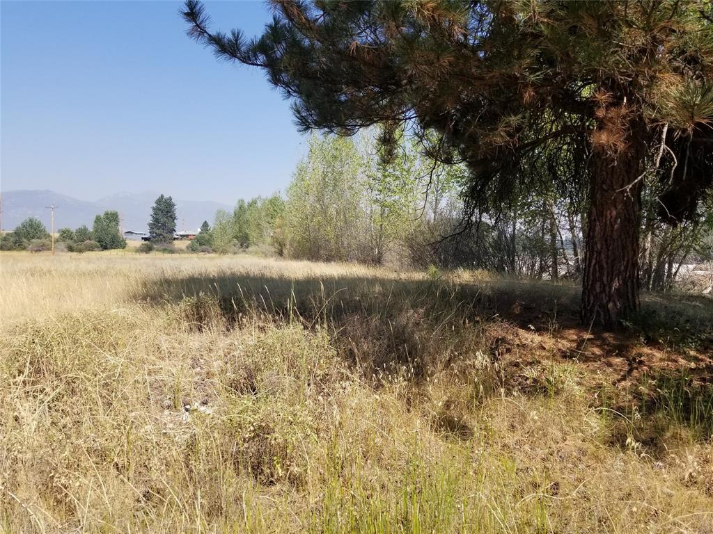 118 Tucker Crossing Property Photo 12