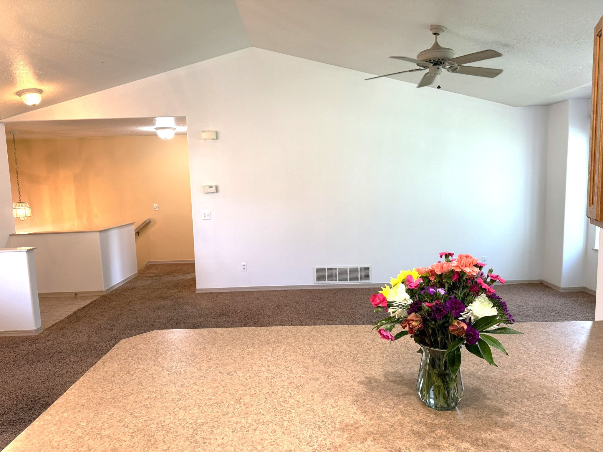 2412 Garland Drive Property Photo 22