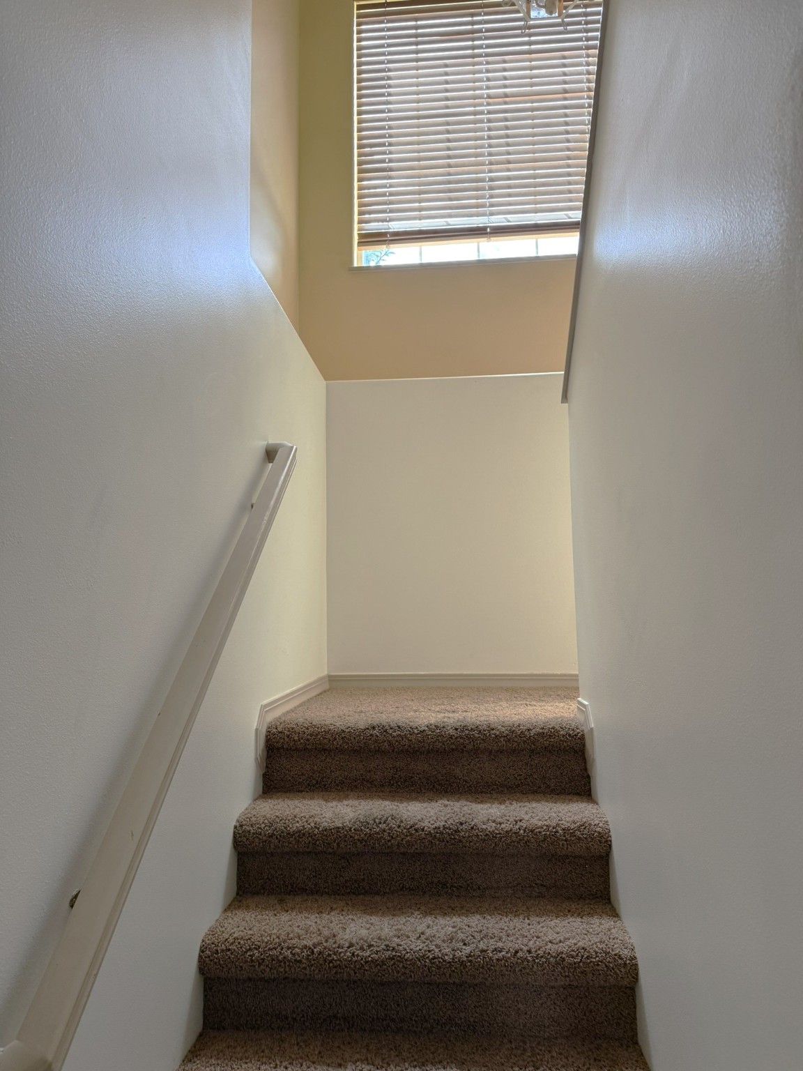 2412 Garland Drive Property Photo 40