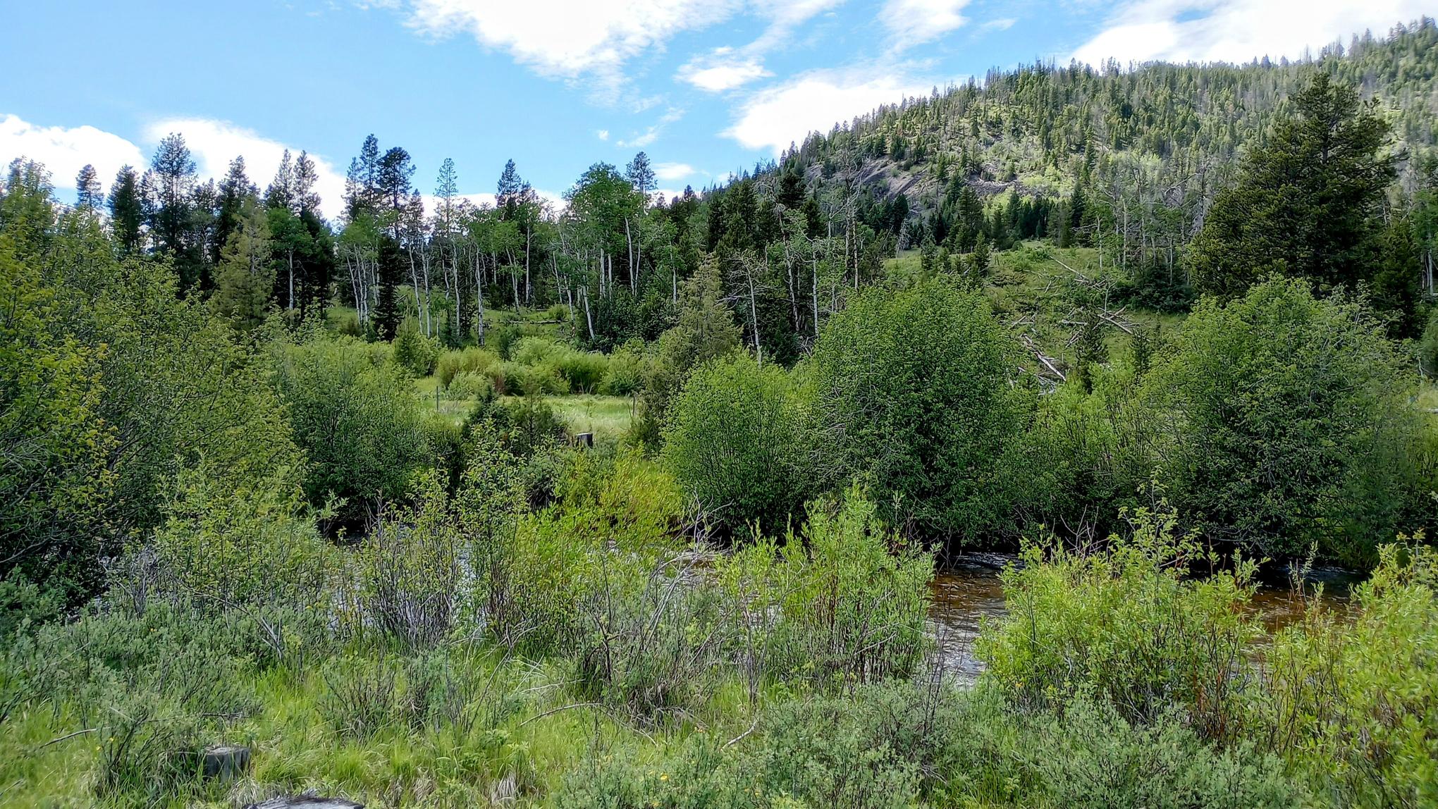 Tbd Moose Lake Road Lot 1 Property Photo