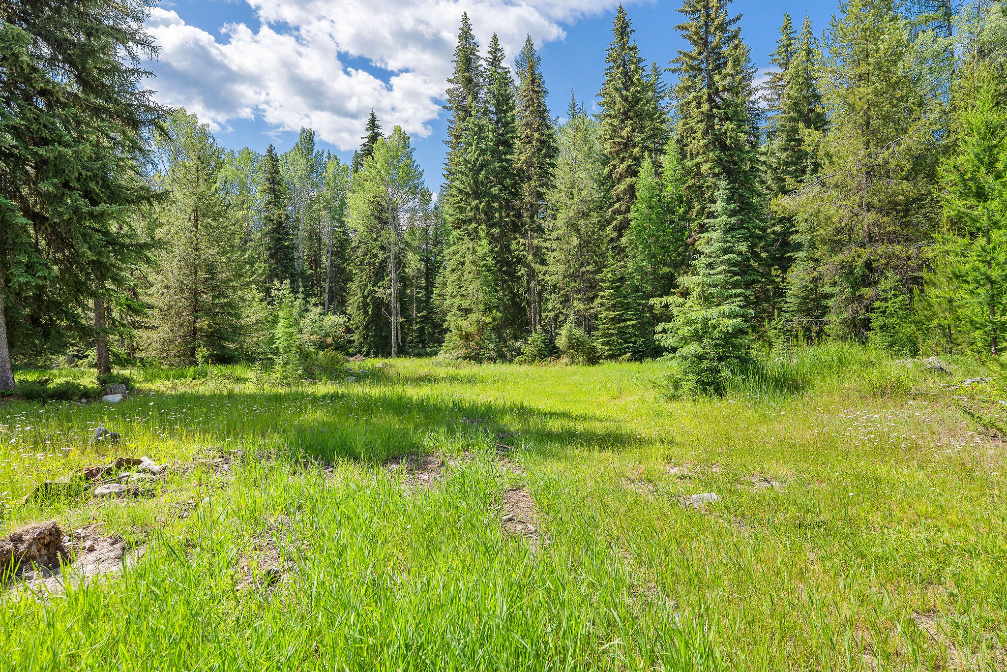 670 Potter Creek Road Property Photo 64