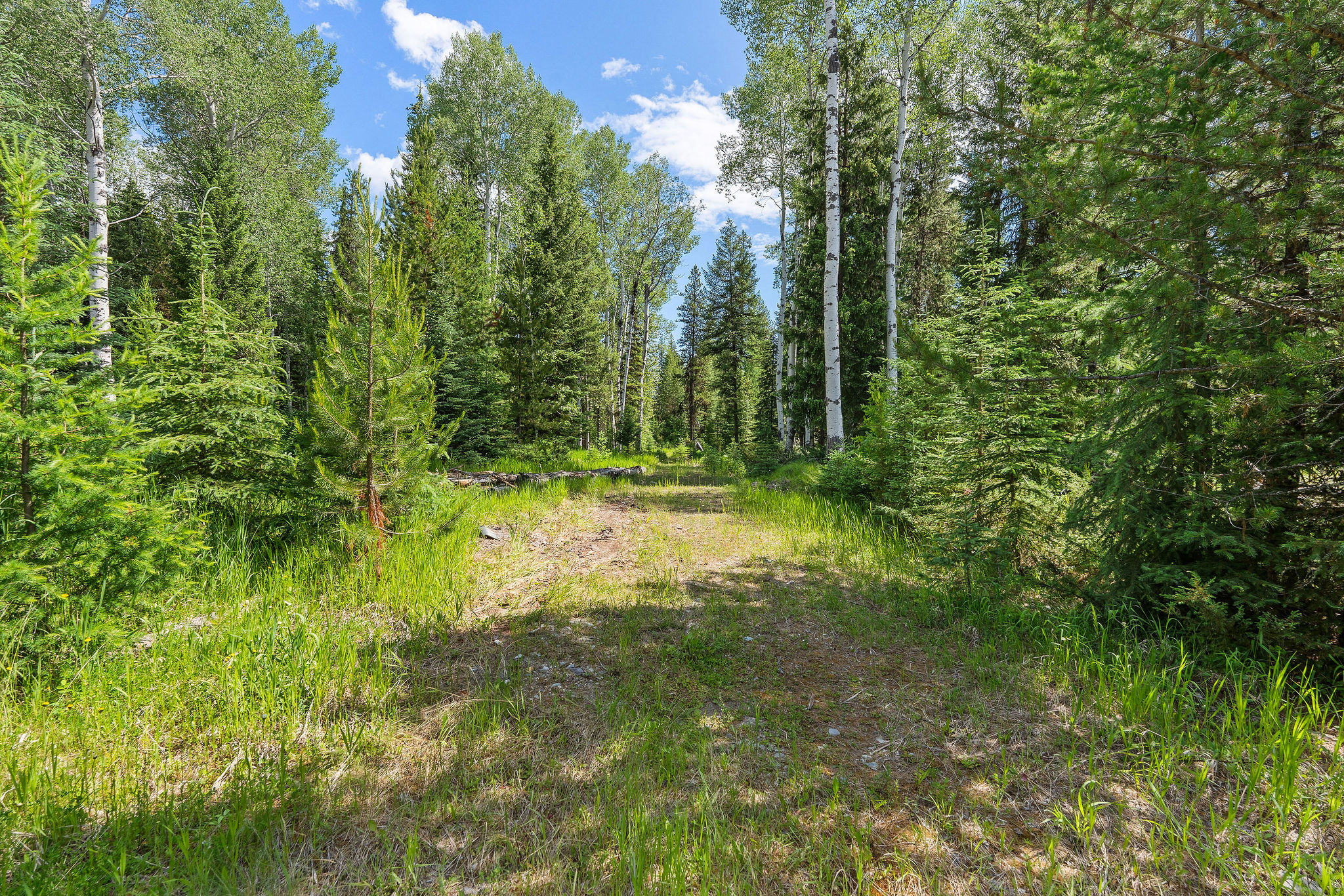 670 Potter Creek Road Property Photo 71