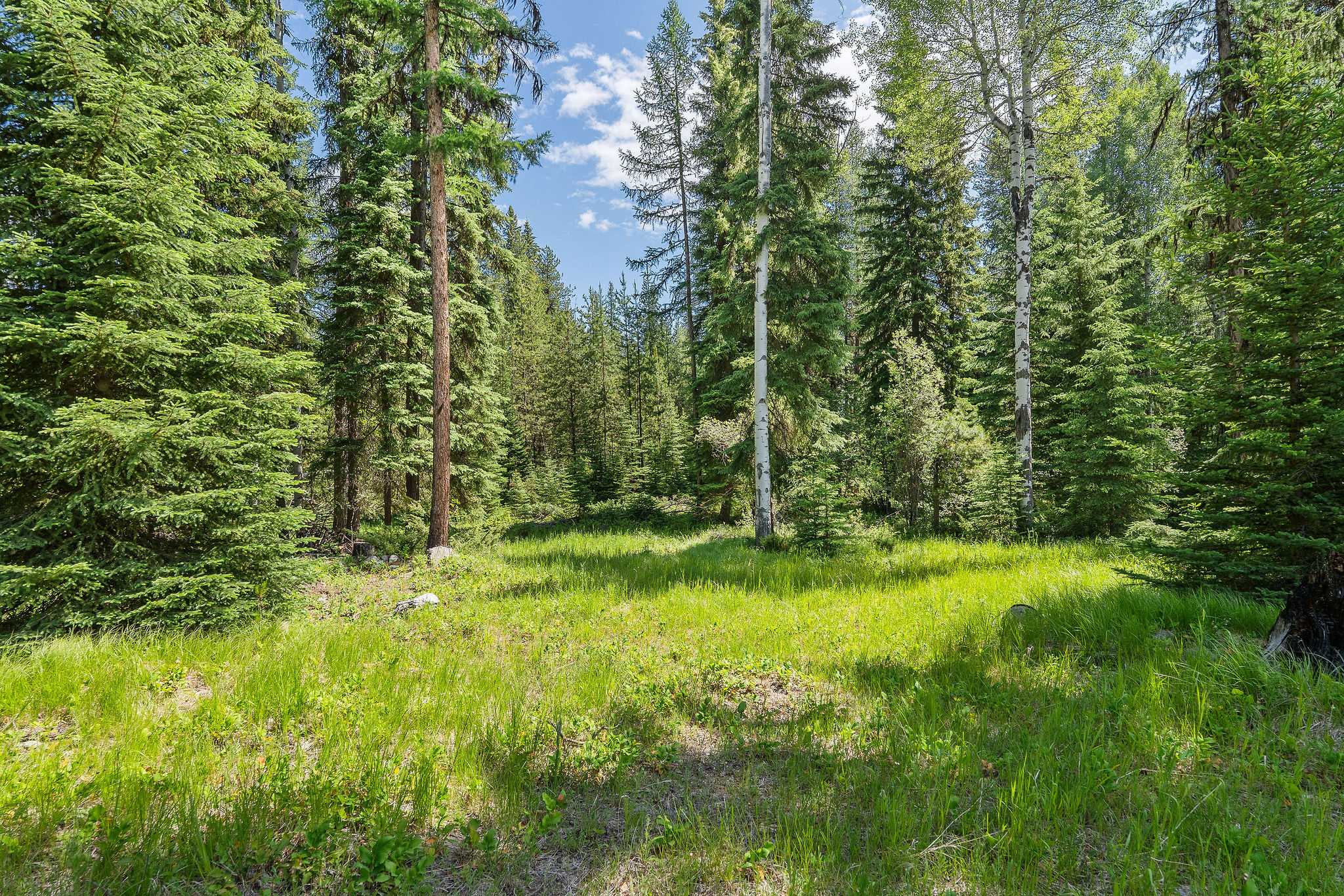 670 Potter Creek Road Property Photo 73