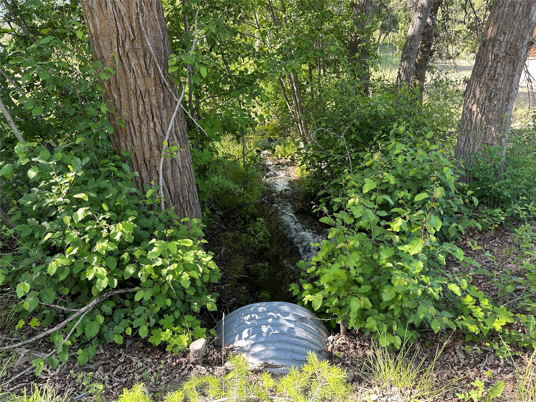 16265 Highway 10 E Property Photo 13