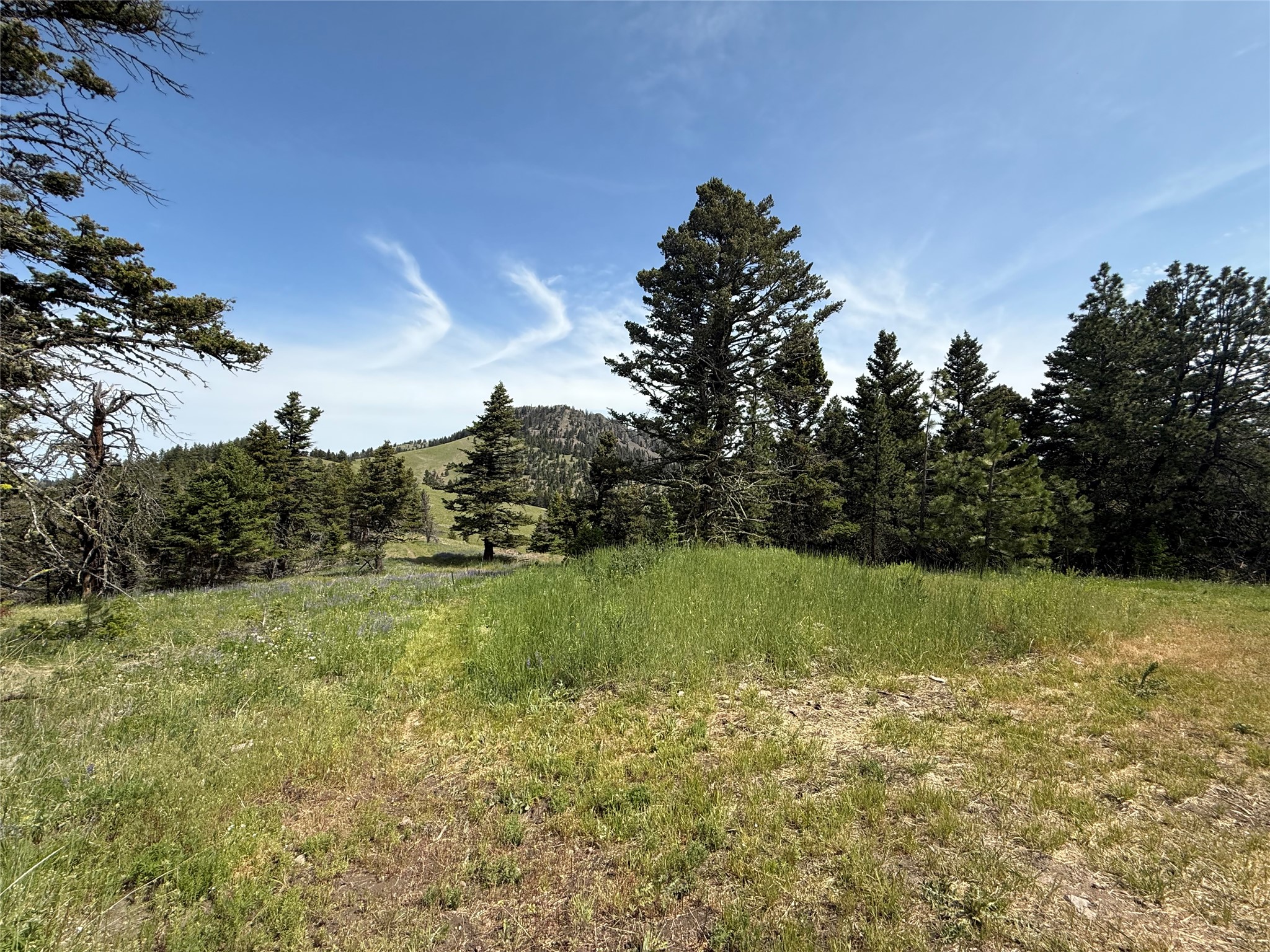 153 Black Canyon Lane Property Photo 25