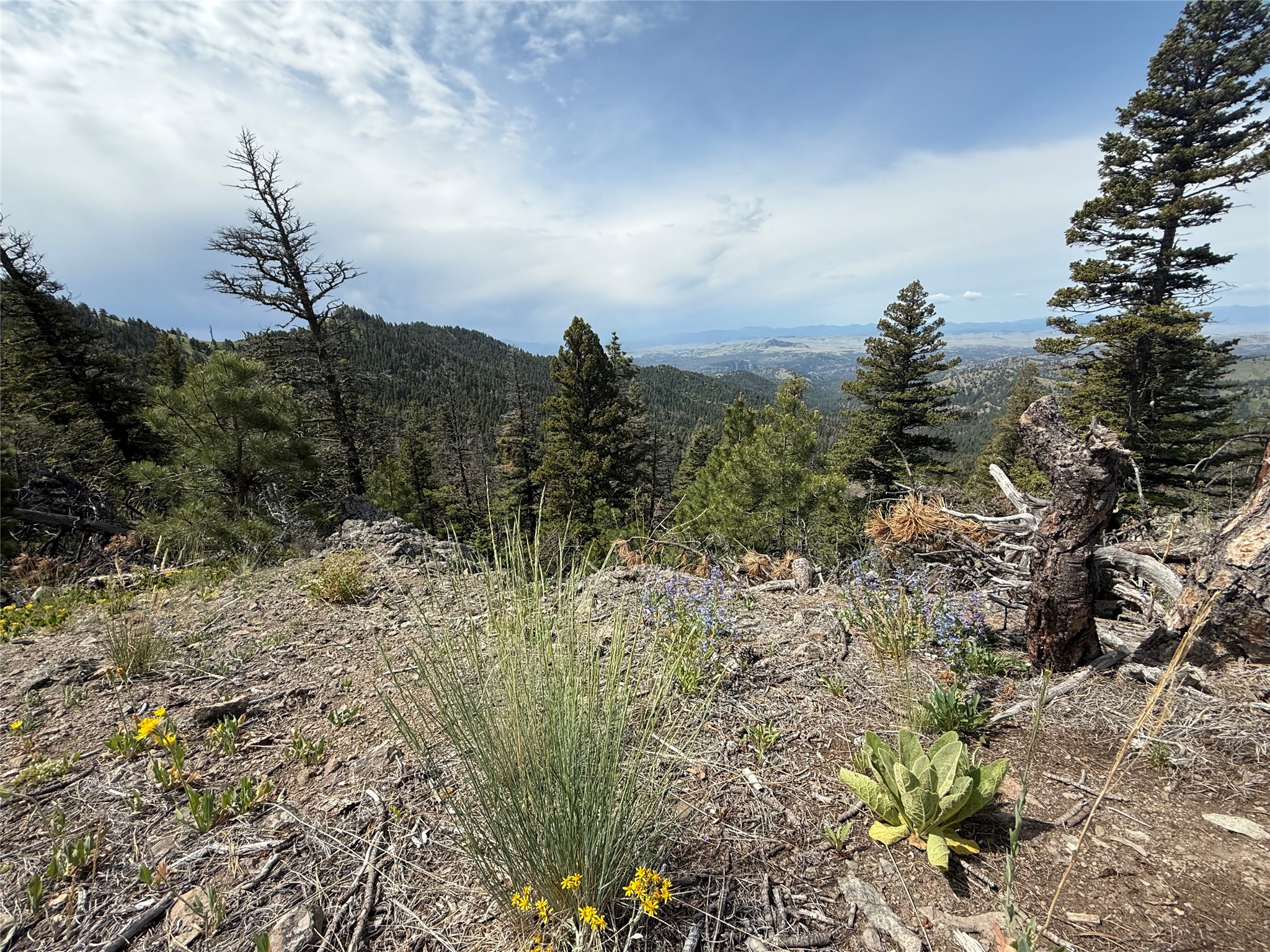 153 Black Canyon Lane Property Photo 30