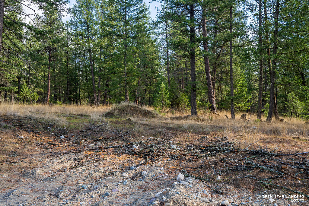 Lot 10 Lake Heights Property Photo 3