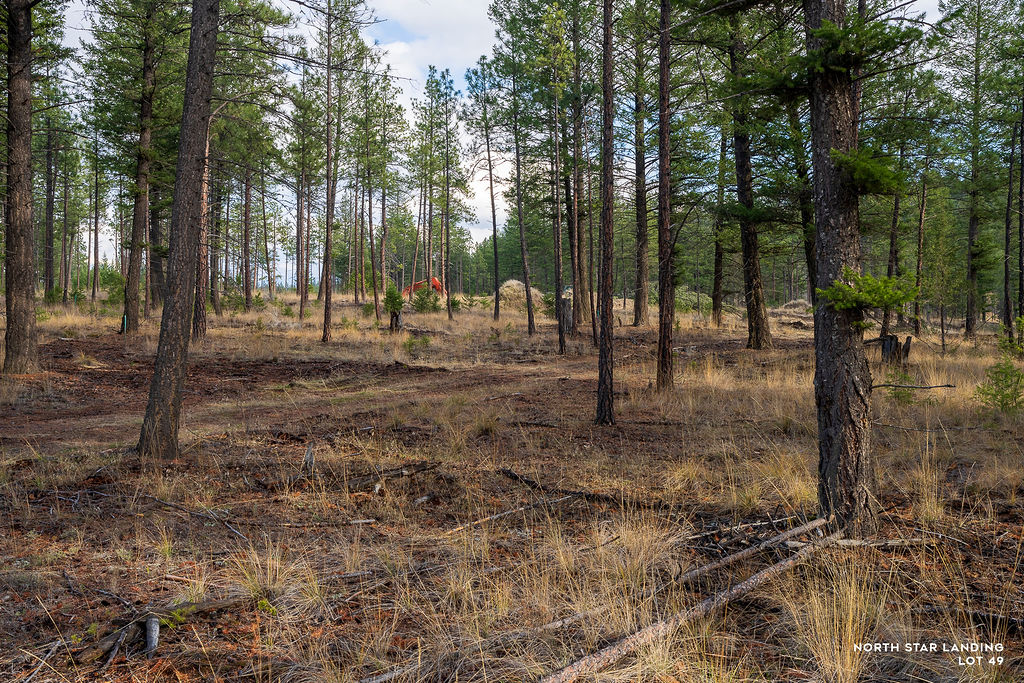 Lot 49 Basin Bend Property Photo 1