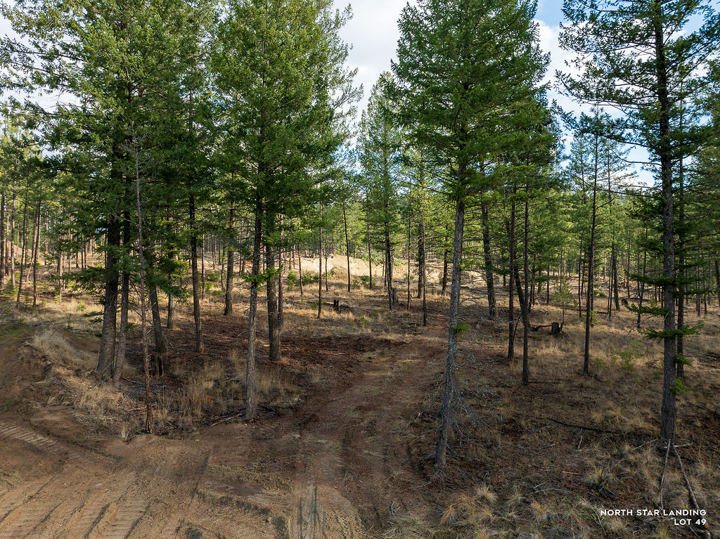 Lot 49 Basin Bend Property Photo 2