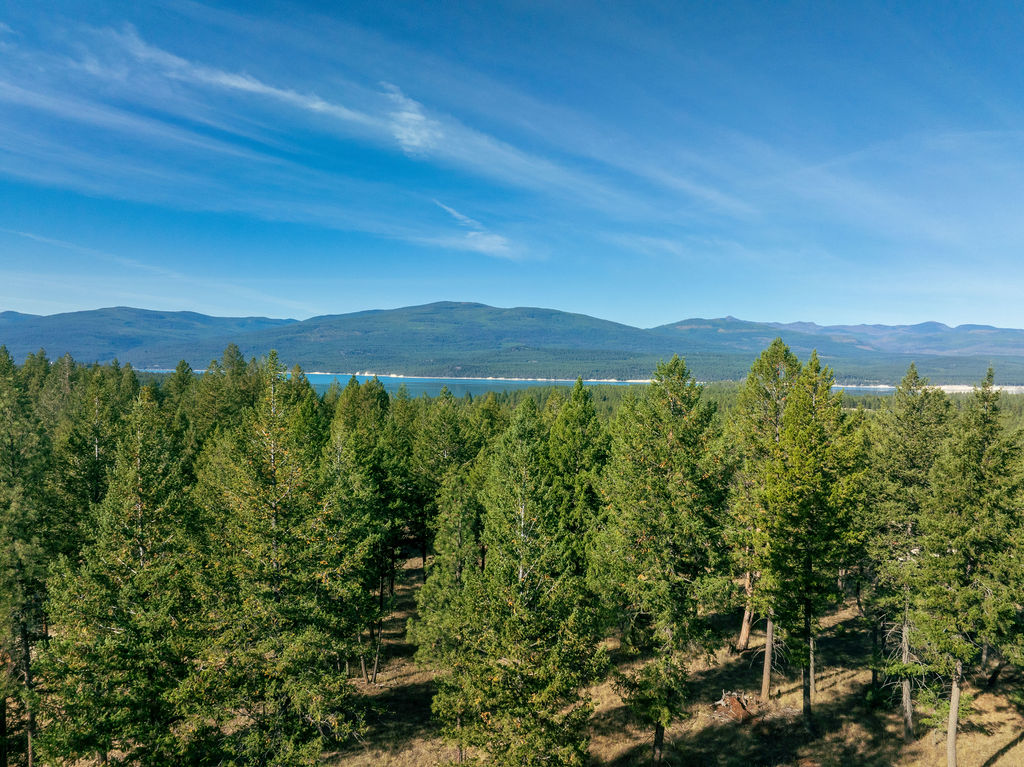 Lot 49 Basin Bend Property Photo 4