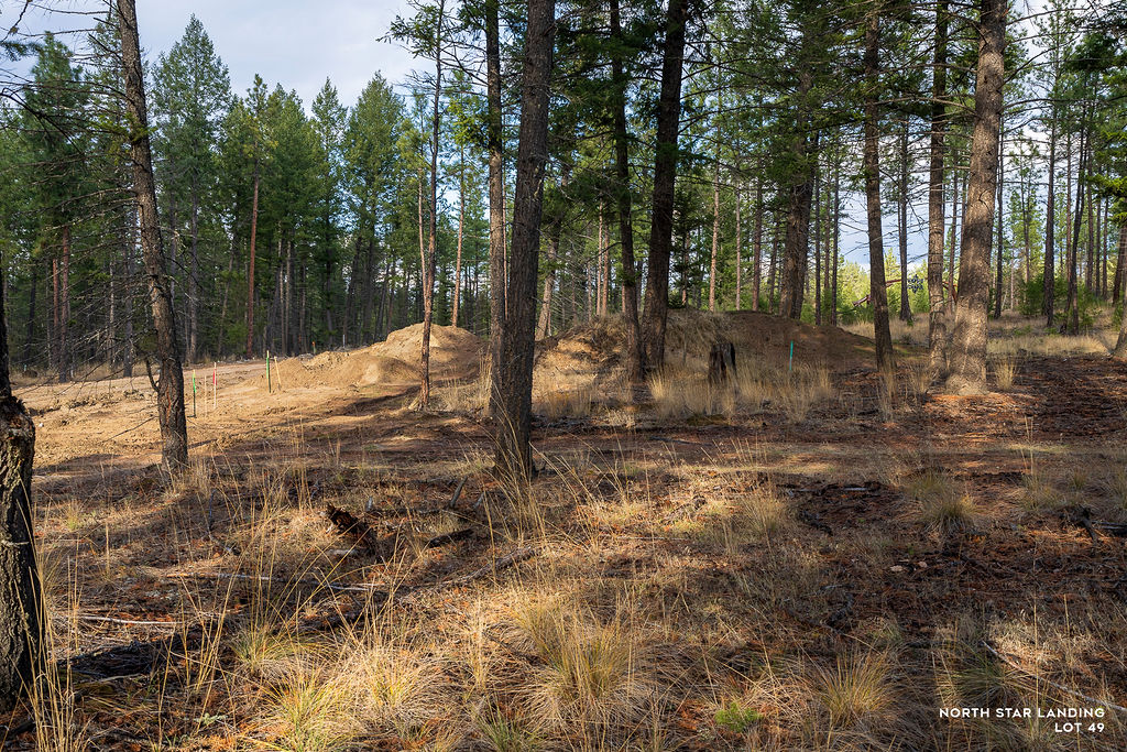 Lot 49 Basin Bend Property Photo 5