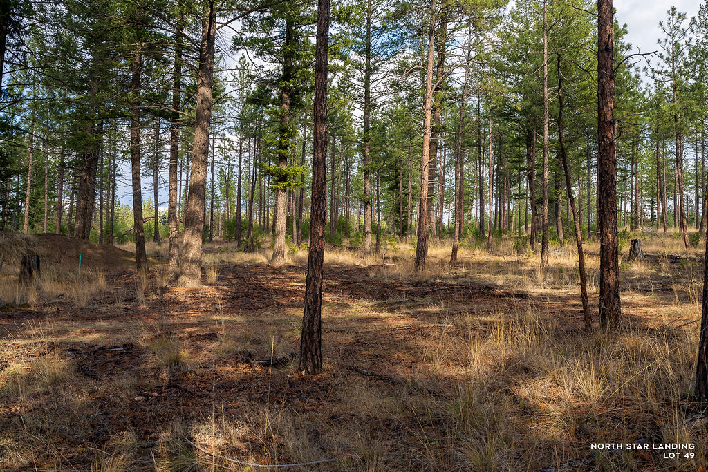 Lot 49 Basin Bend Property Photo 6
