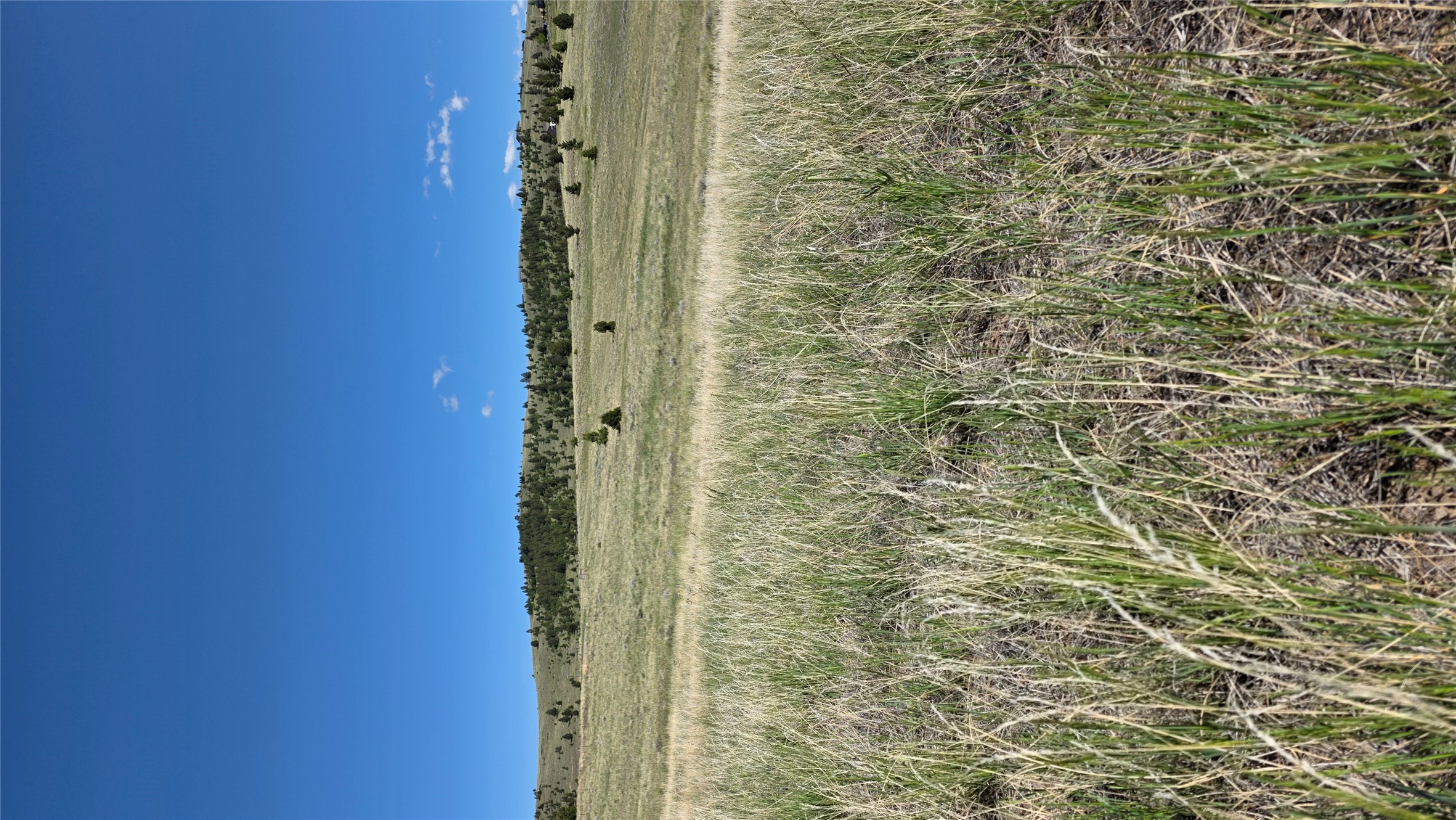 Tbd Gregson Gregson Lane Property Photo 3