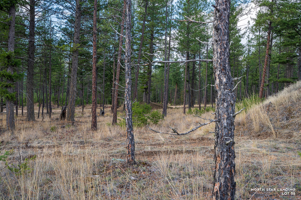 Lot 56 Dropping Draw Property Photo 1