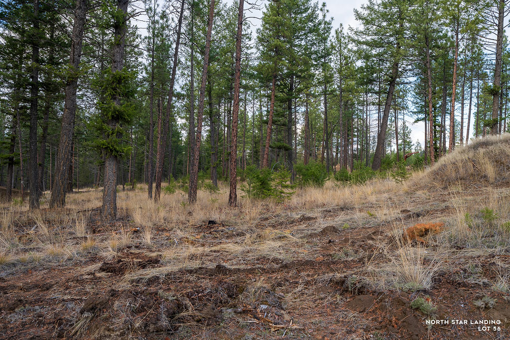 Lot 56 Dropping Draw Property Photo 4