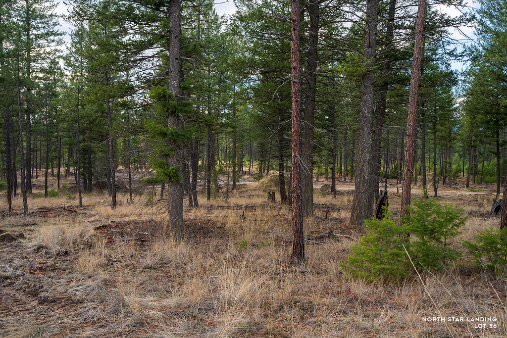 Lot 56 Dropping Draw Property Photo 5