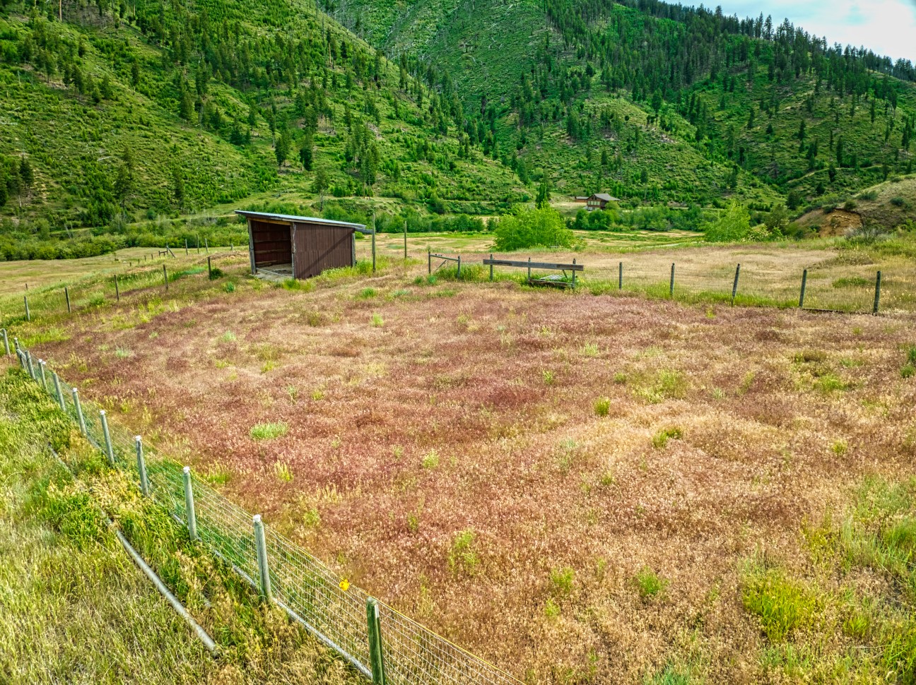 4310 Dugout Gulch Road Property Photo 6