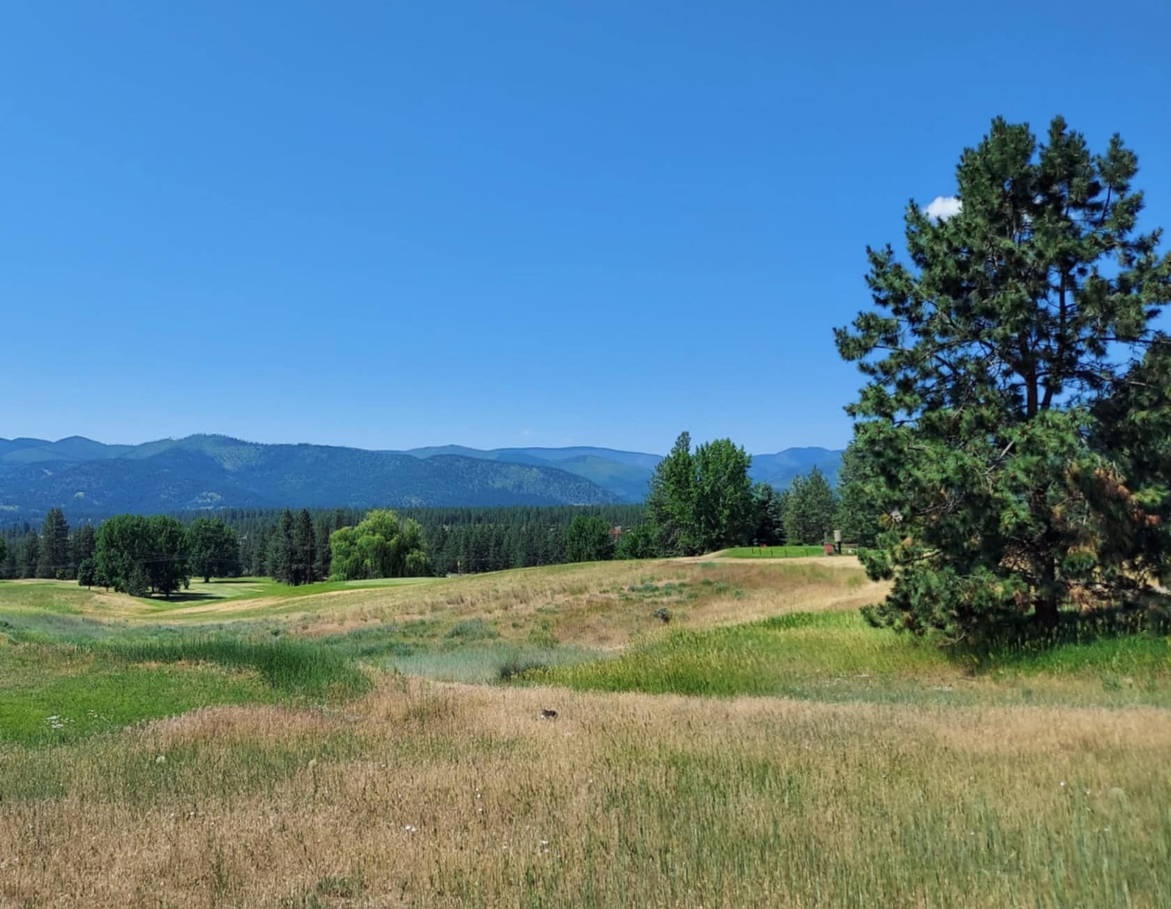 Lot 5 Fairway Court