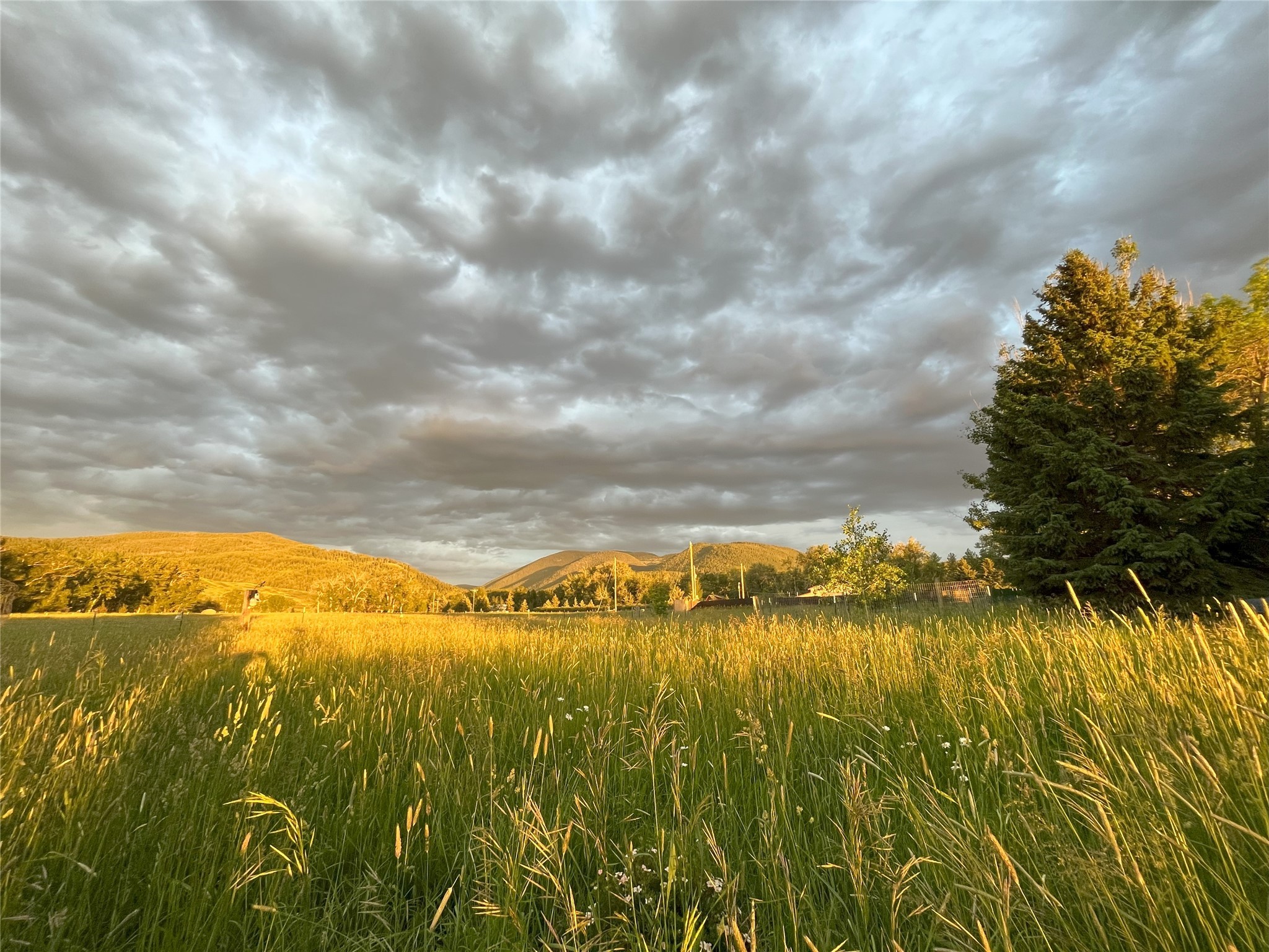 12977 Cottonwood Road Property Photo 14