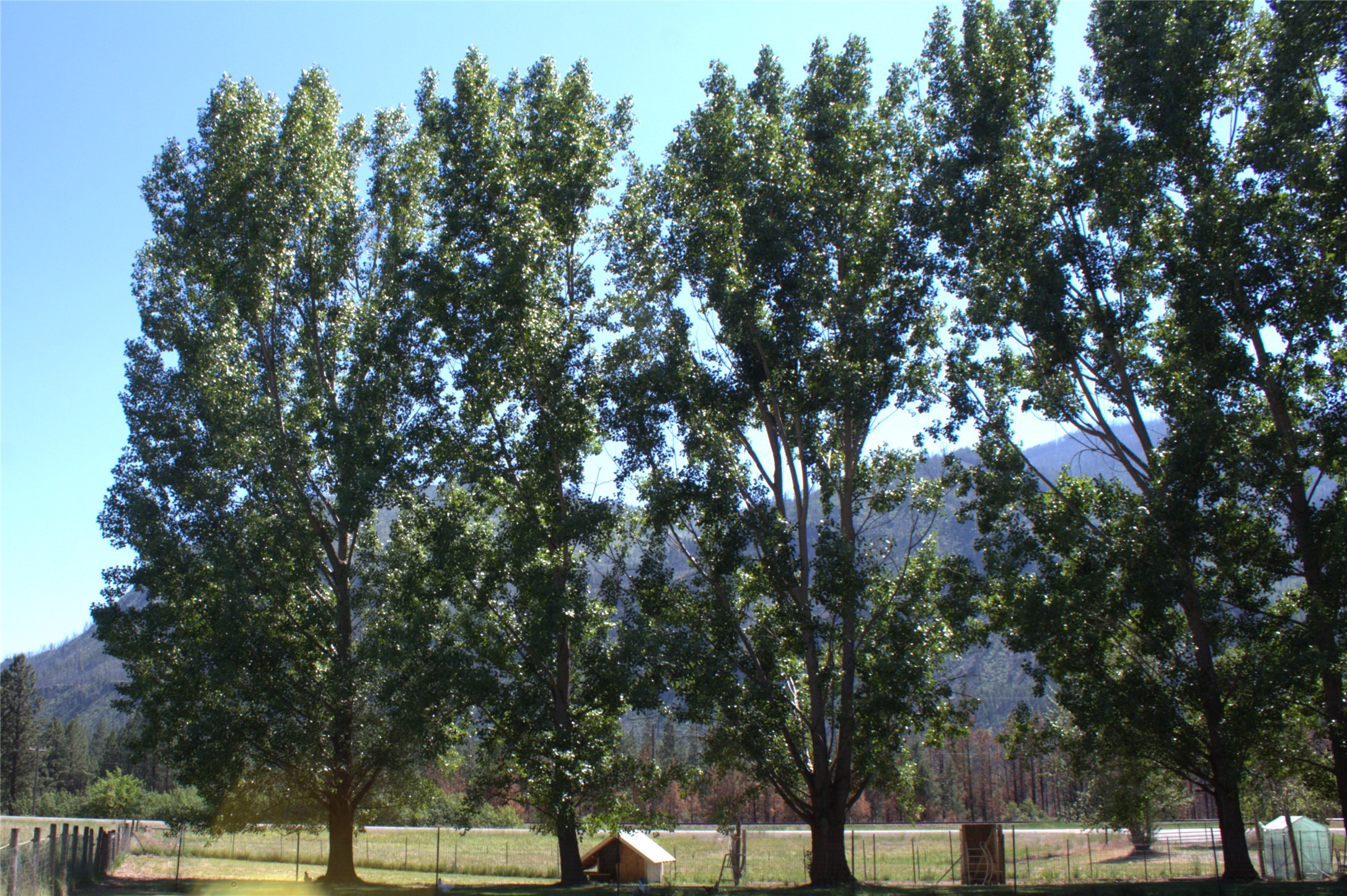 9 Rams Head Drive Property Photo 12