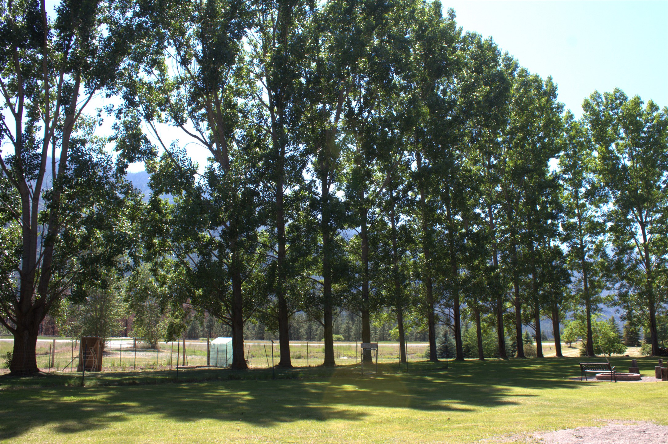 9 Rams Head Drive Property Photo 13