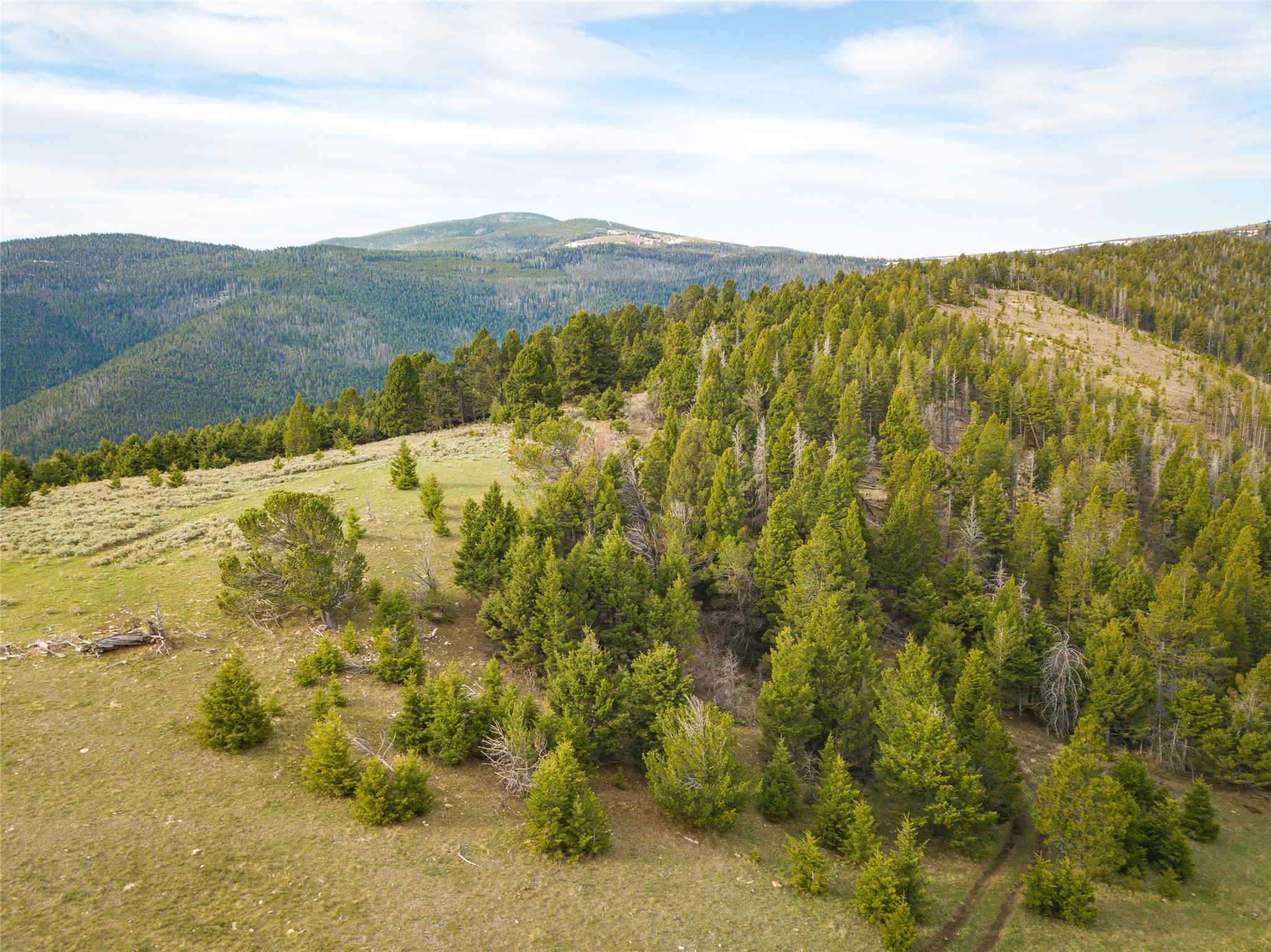 Tbd (58+/- Acres) Ottawa Gulch Road Property Photo 1
