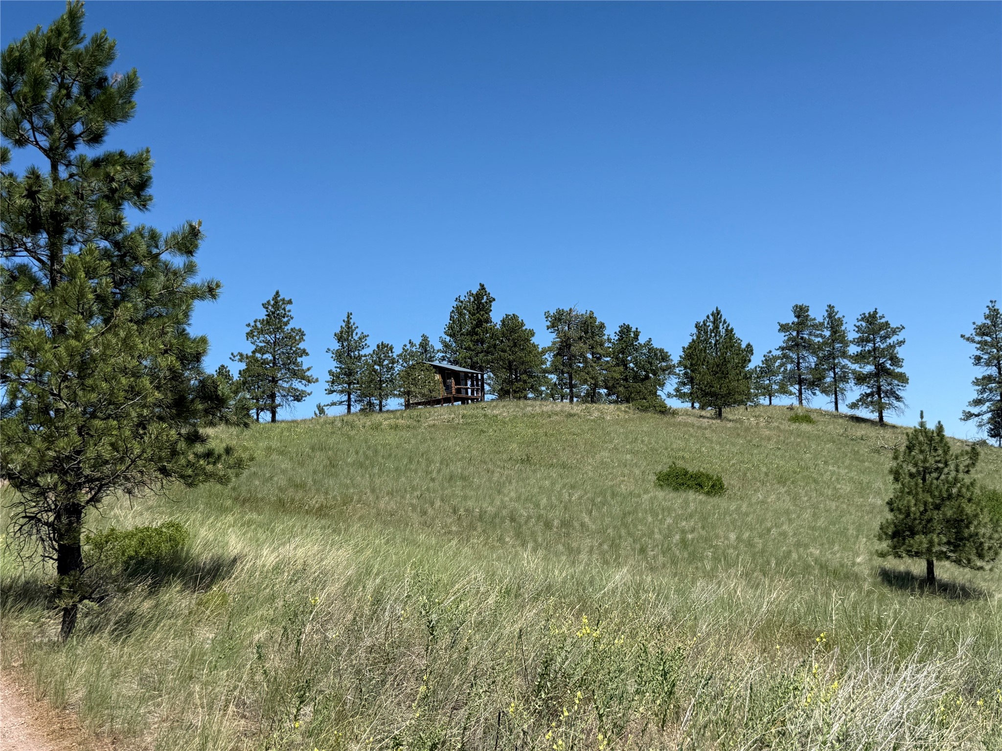 Tbd Powerline Road Property Photo 1
