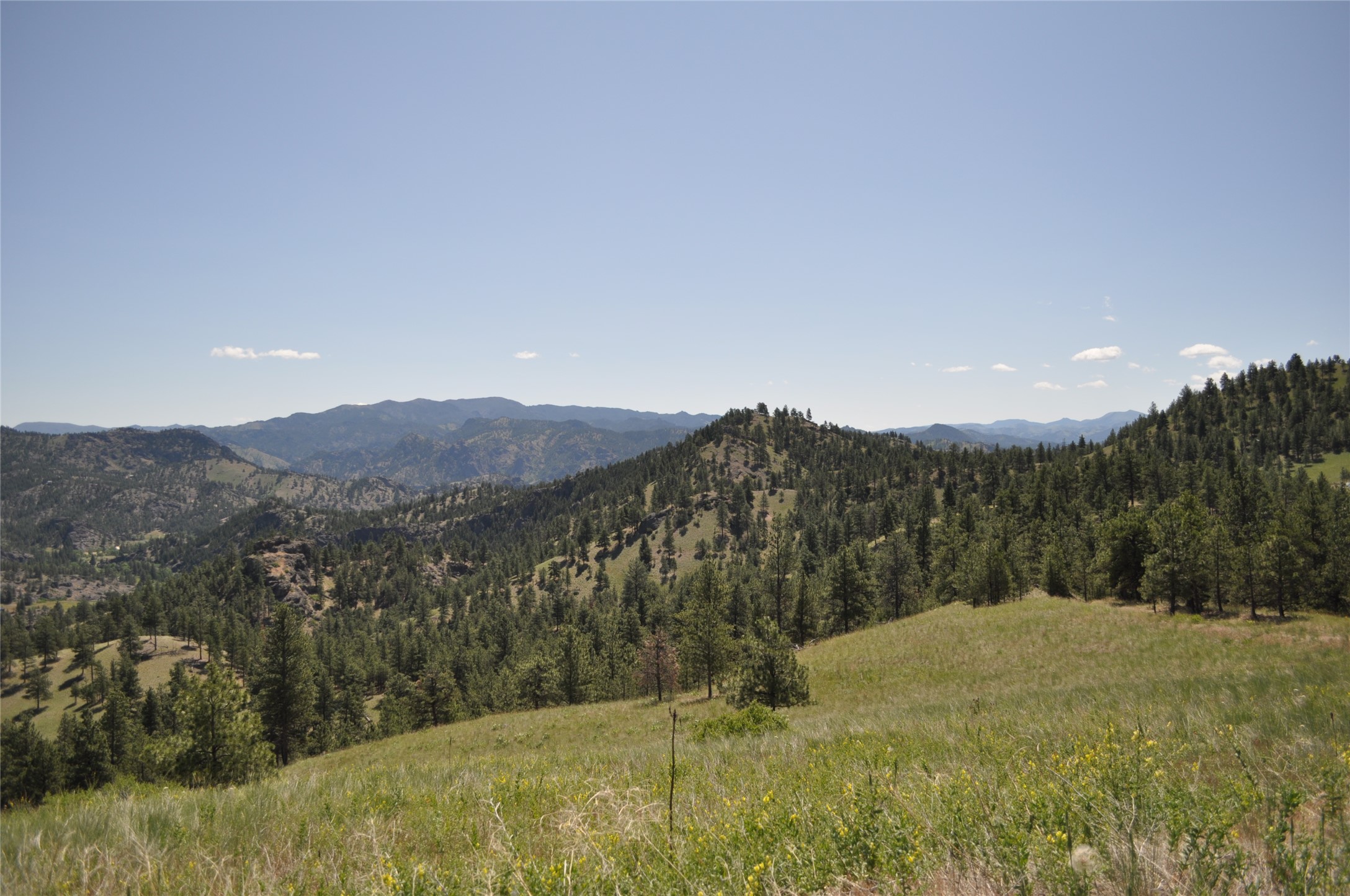 Tbd Powerline Road Property Photo 3