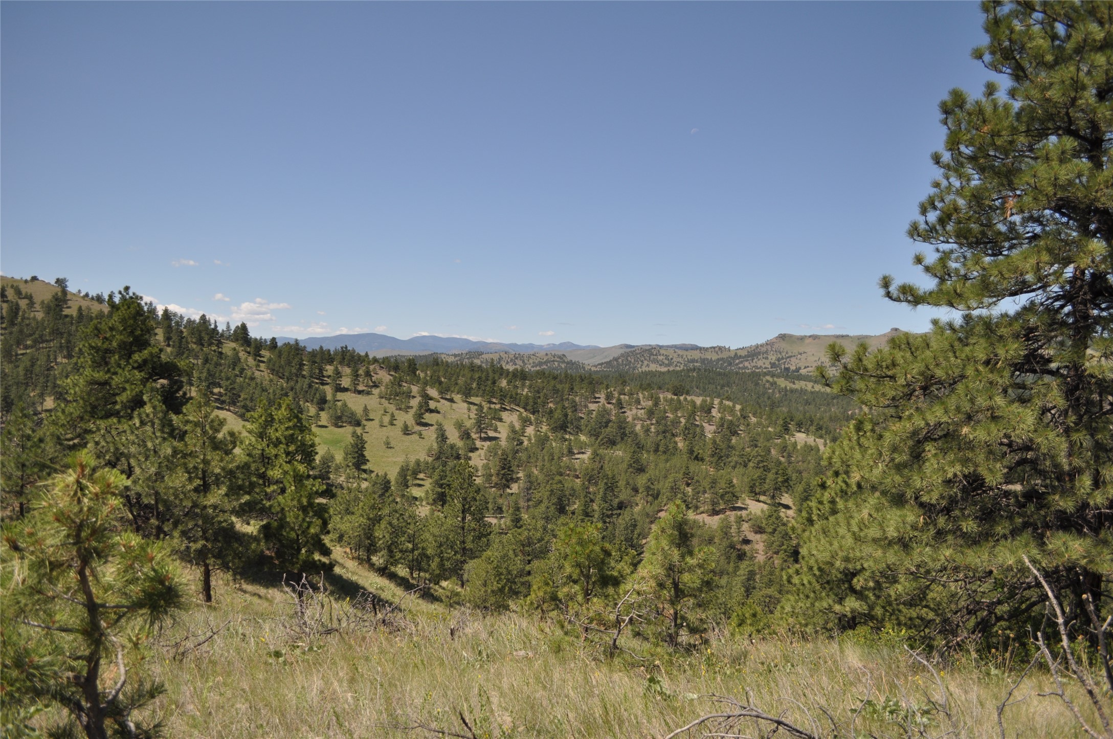 Tbd Powerline Road Property Photo 4