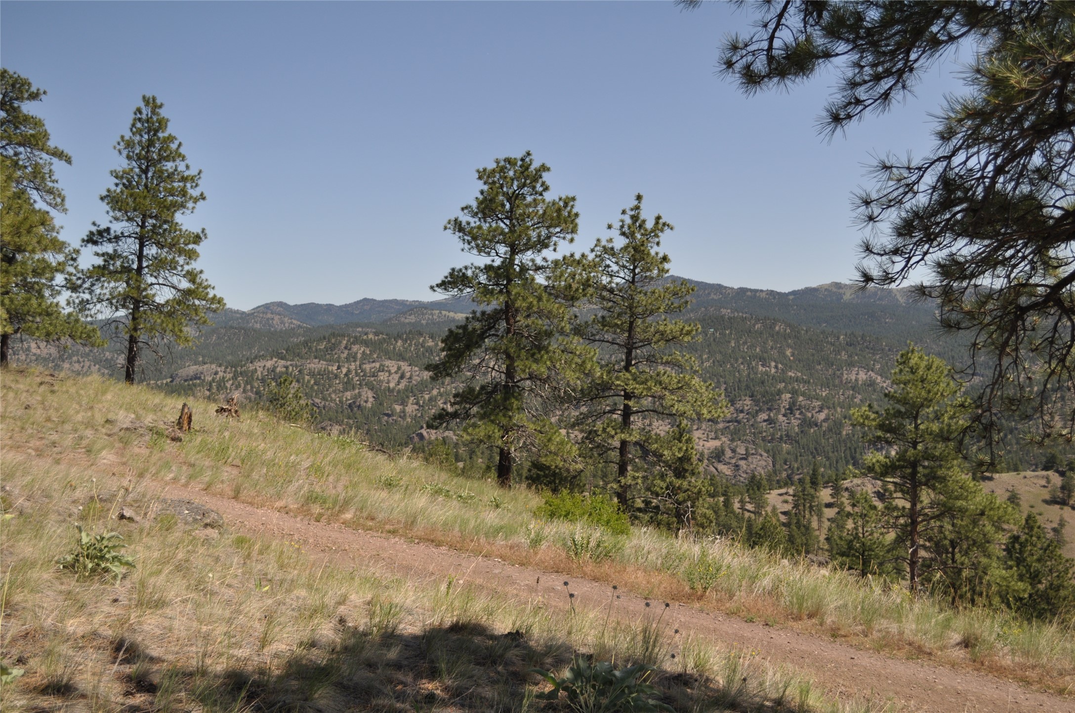 Tbd Powerline Road Property Photo 5