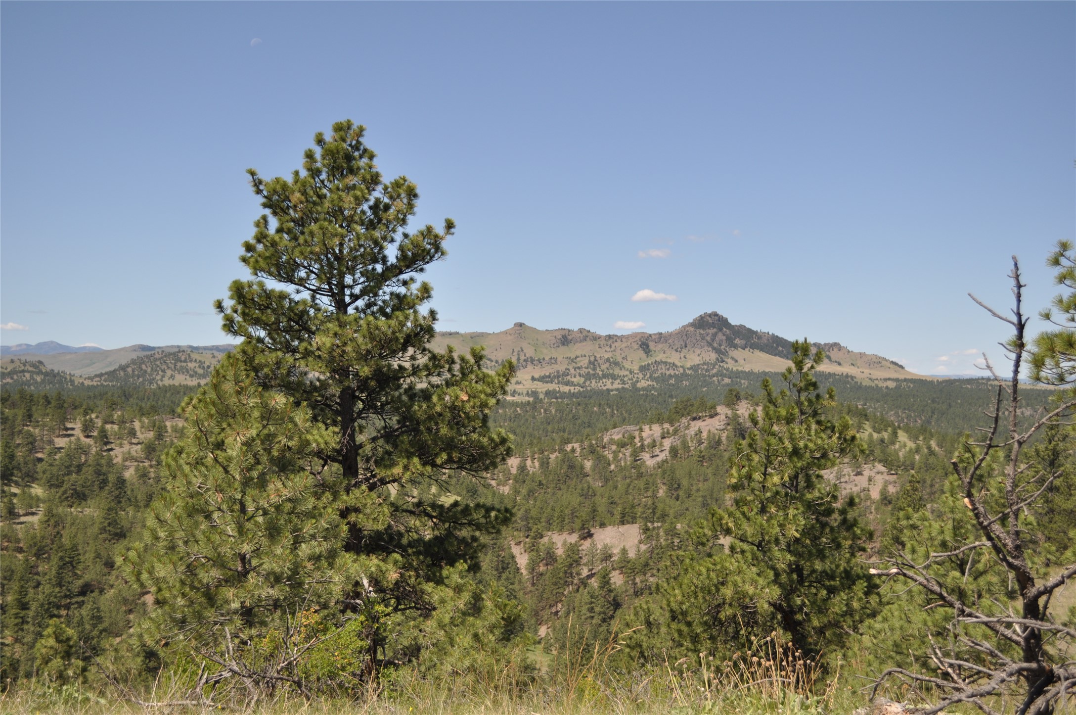 Tbd Powerline Road Property Photo 6