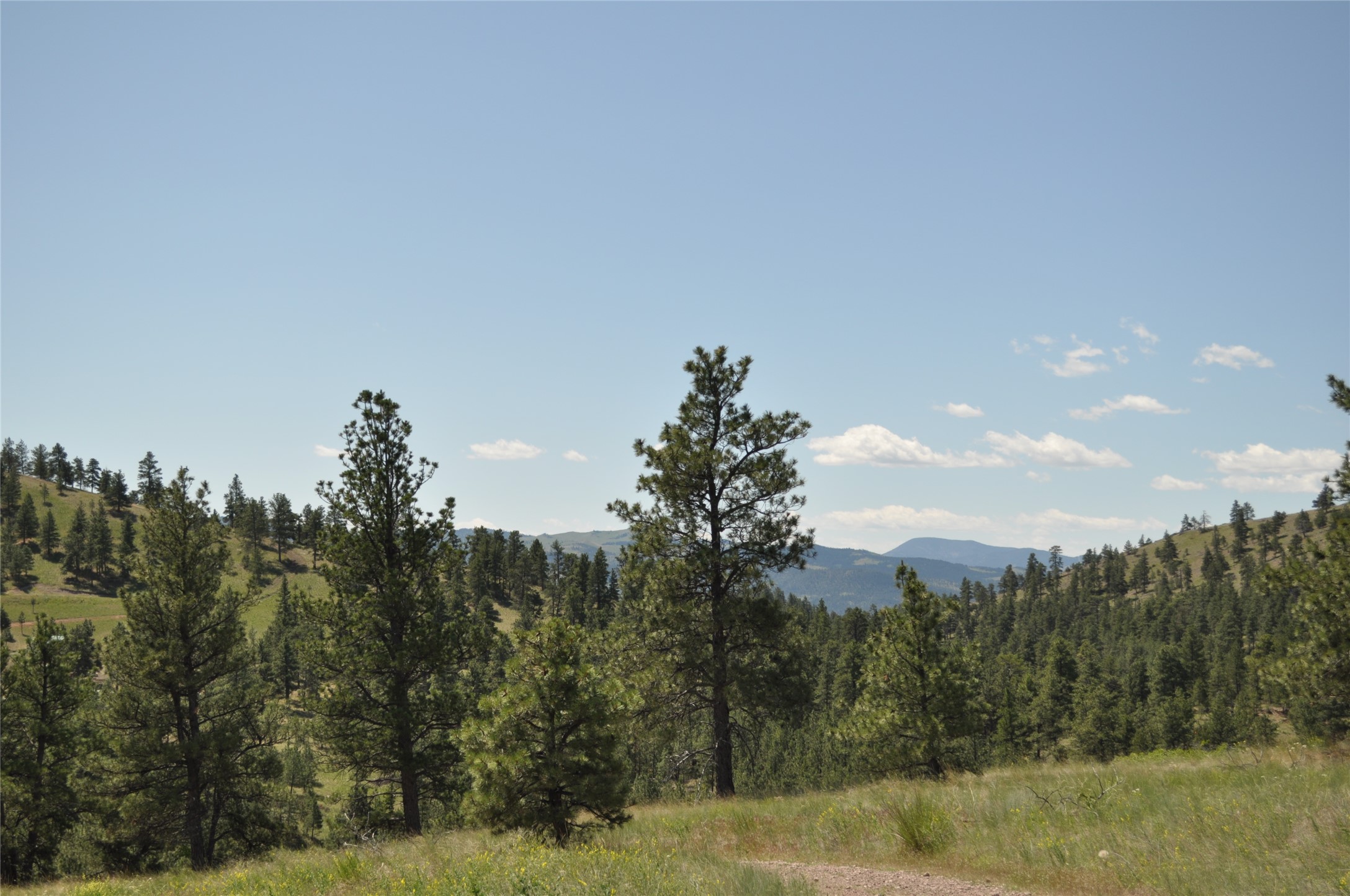 Tbd Powerline Road Property Photo 7