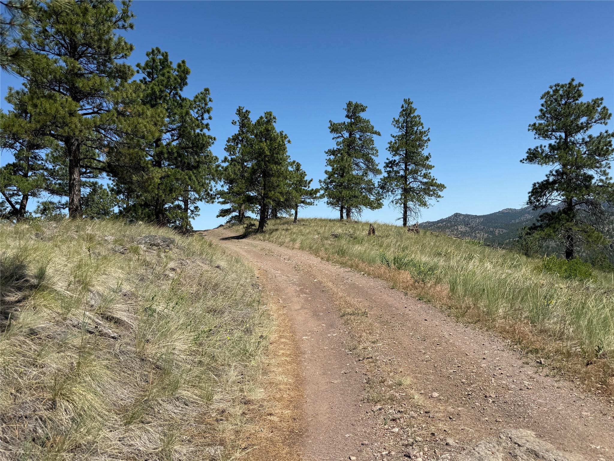 Tbd Powerline Road Property Photo 10