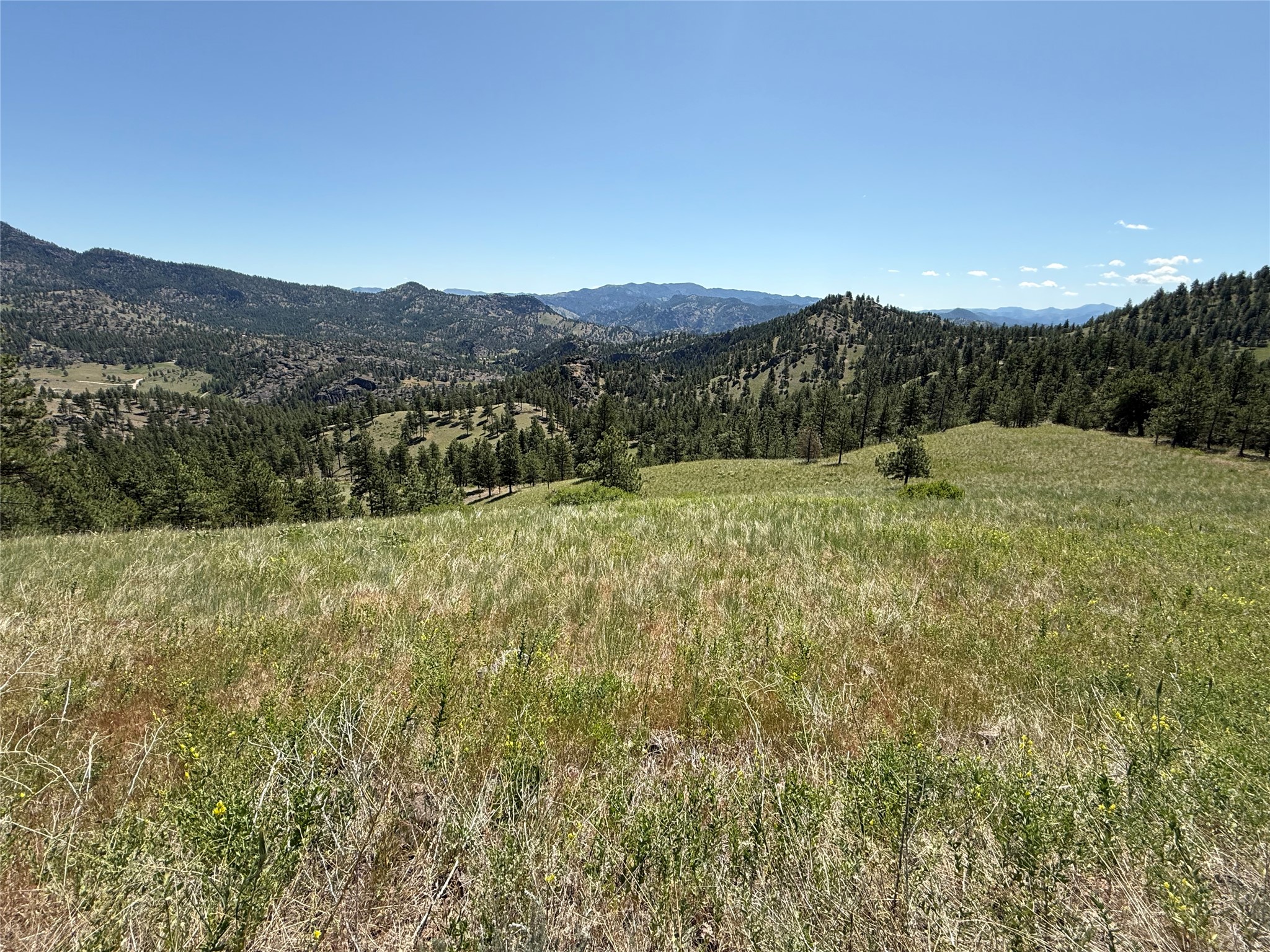 Tbd Powerline Road Property Photo 12