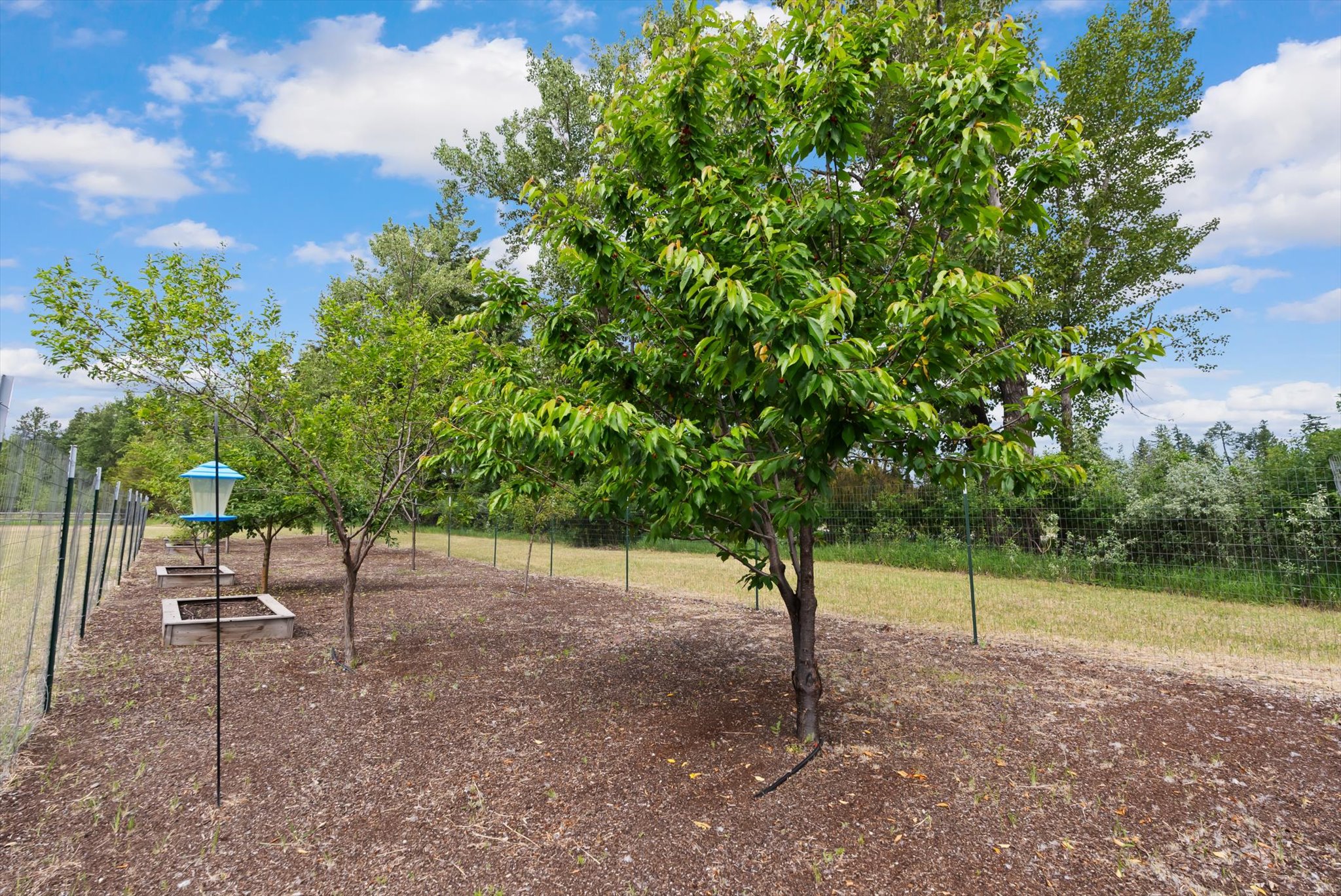 1398 Waters Edge Way Property Photo 20