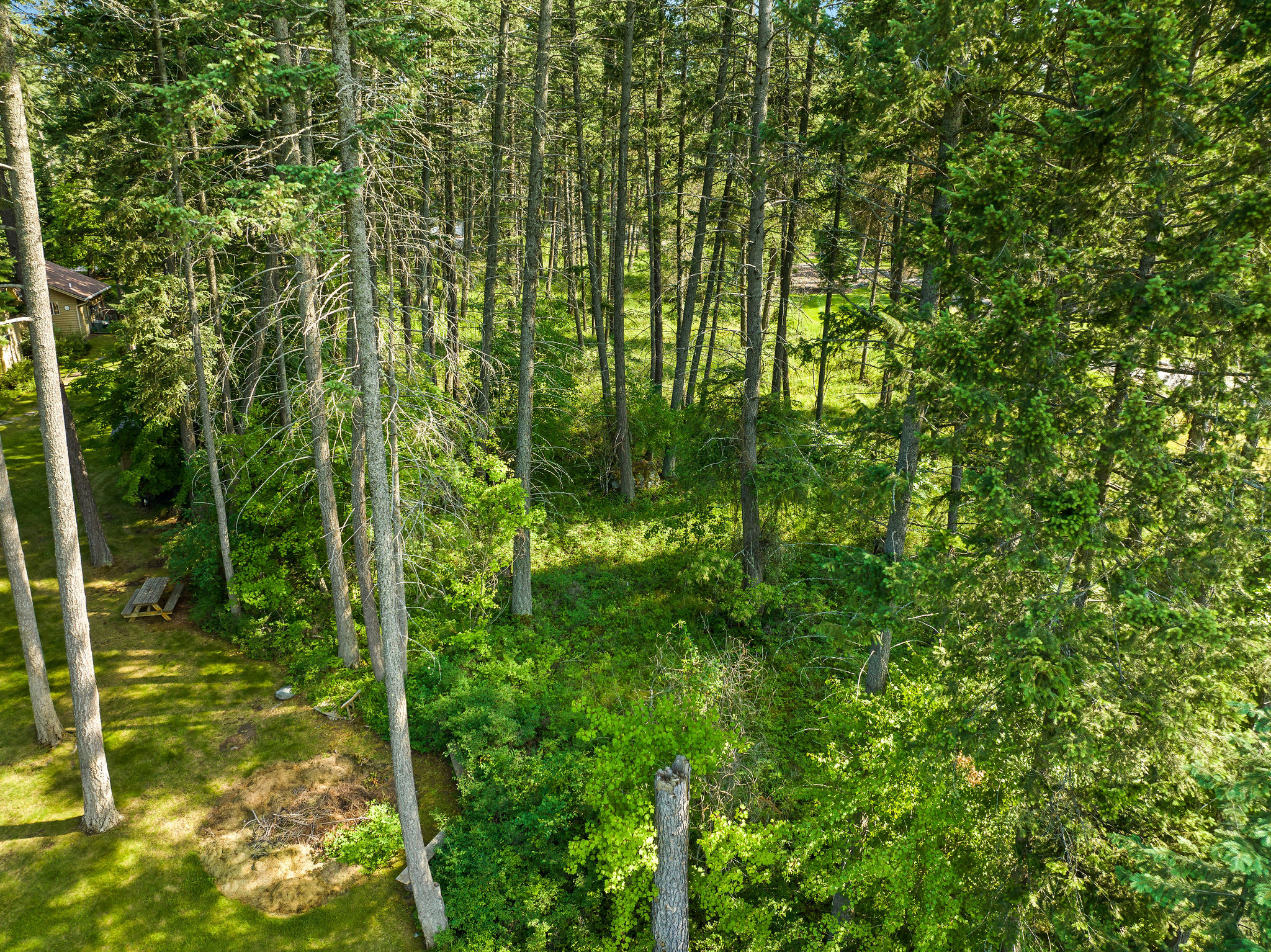 Nhn Westview Drive Property Photo 6