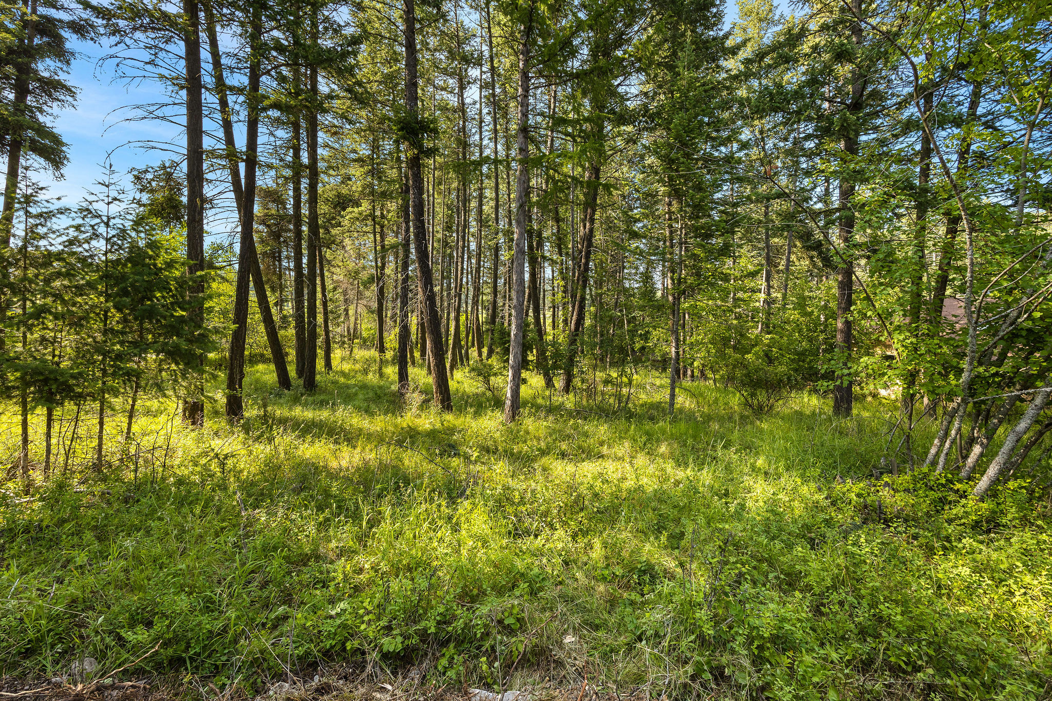 Nhn Westview Drive Property Photo 7