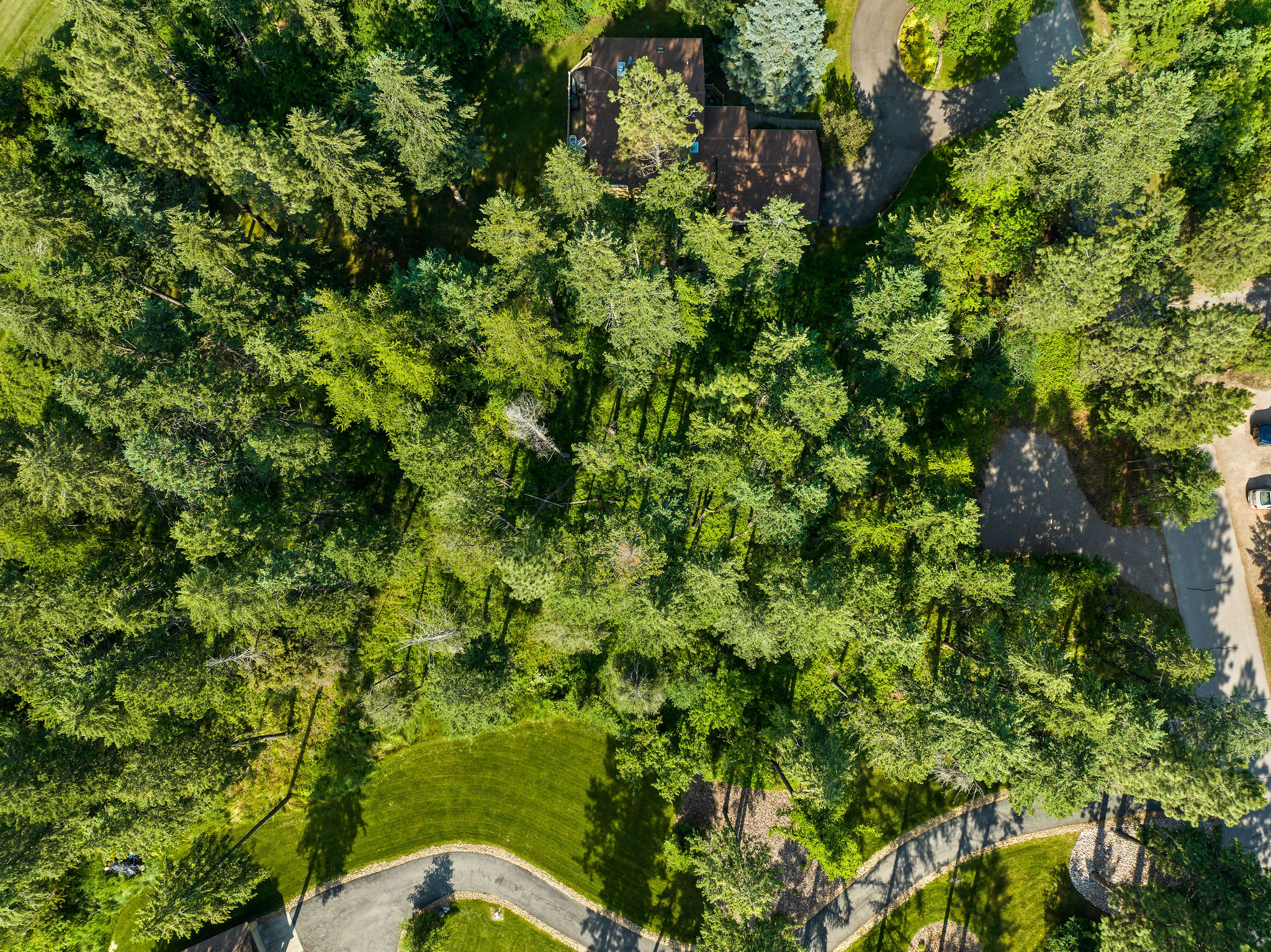 Nhn Westview Drive Property Photo 10